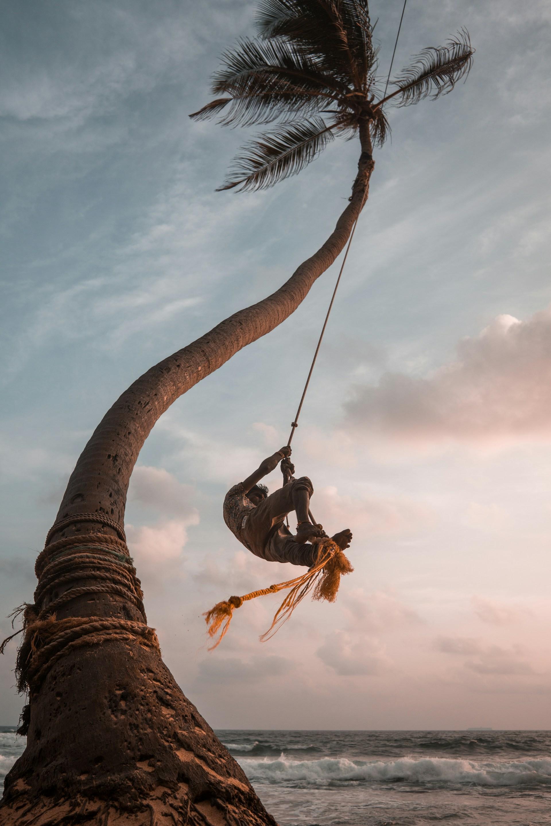 Colombo to Galle & Jungle Beach Private Day Trip