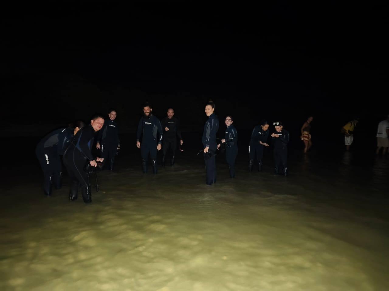 Holbox Bioluminescent Waters Night Swim