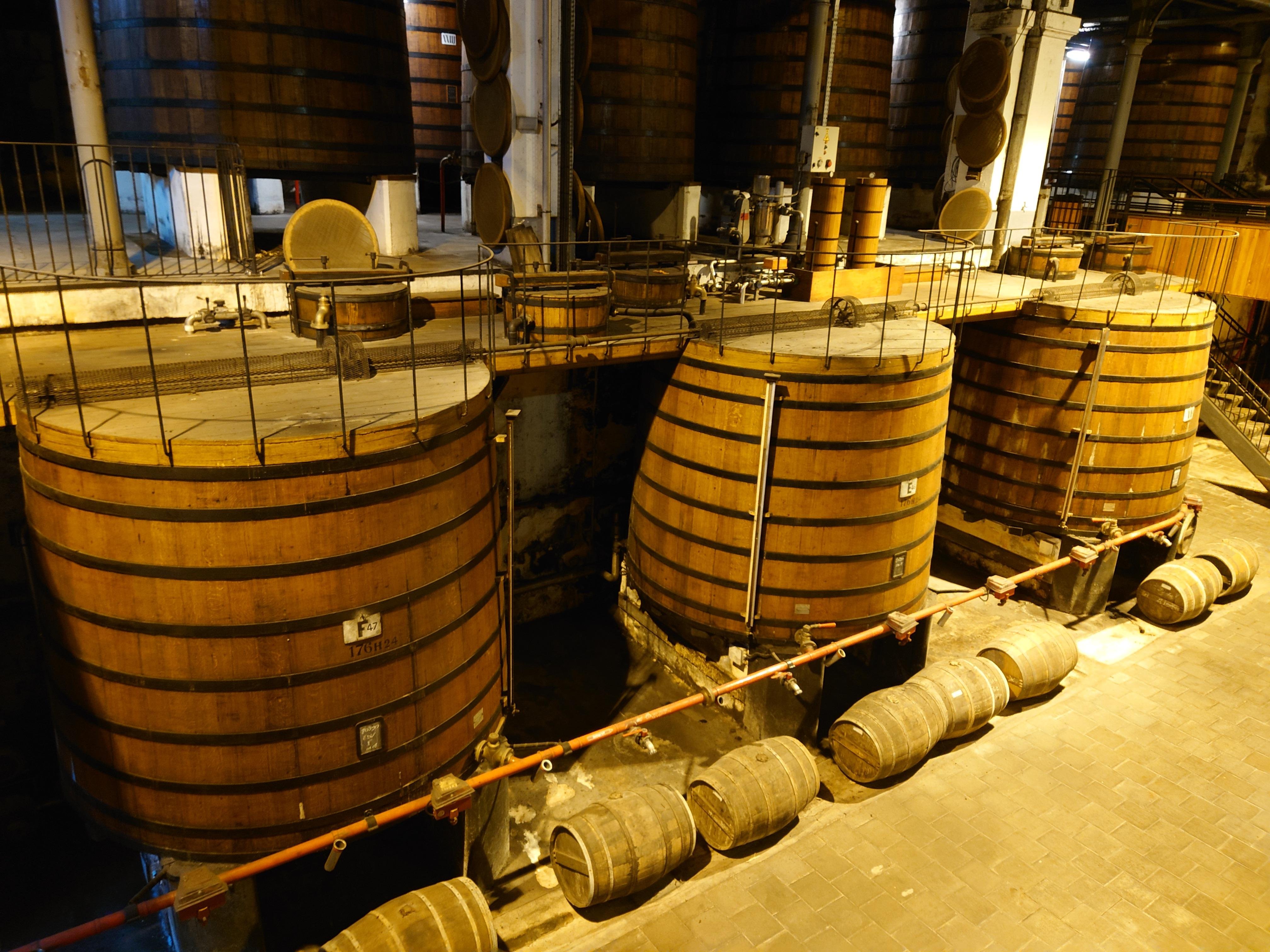 cognac tasting in Bordeaux — photo 1
