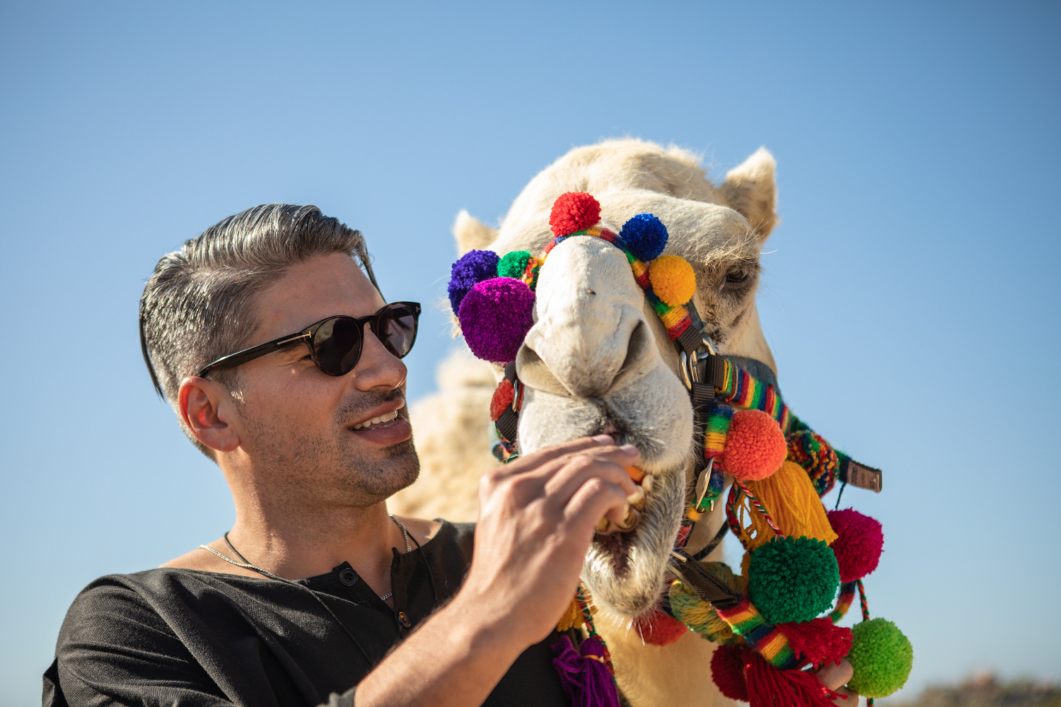 Cabo San Lucas Camel Safari with Lunch & Tequila Tasting