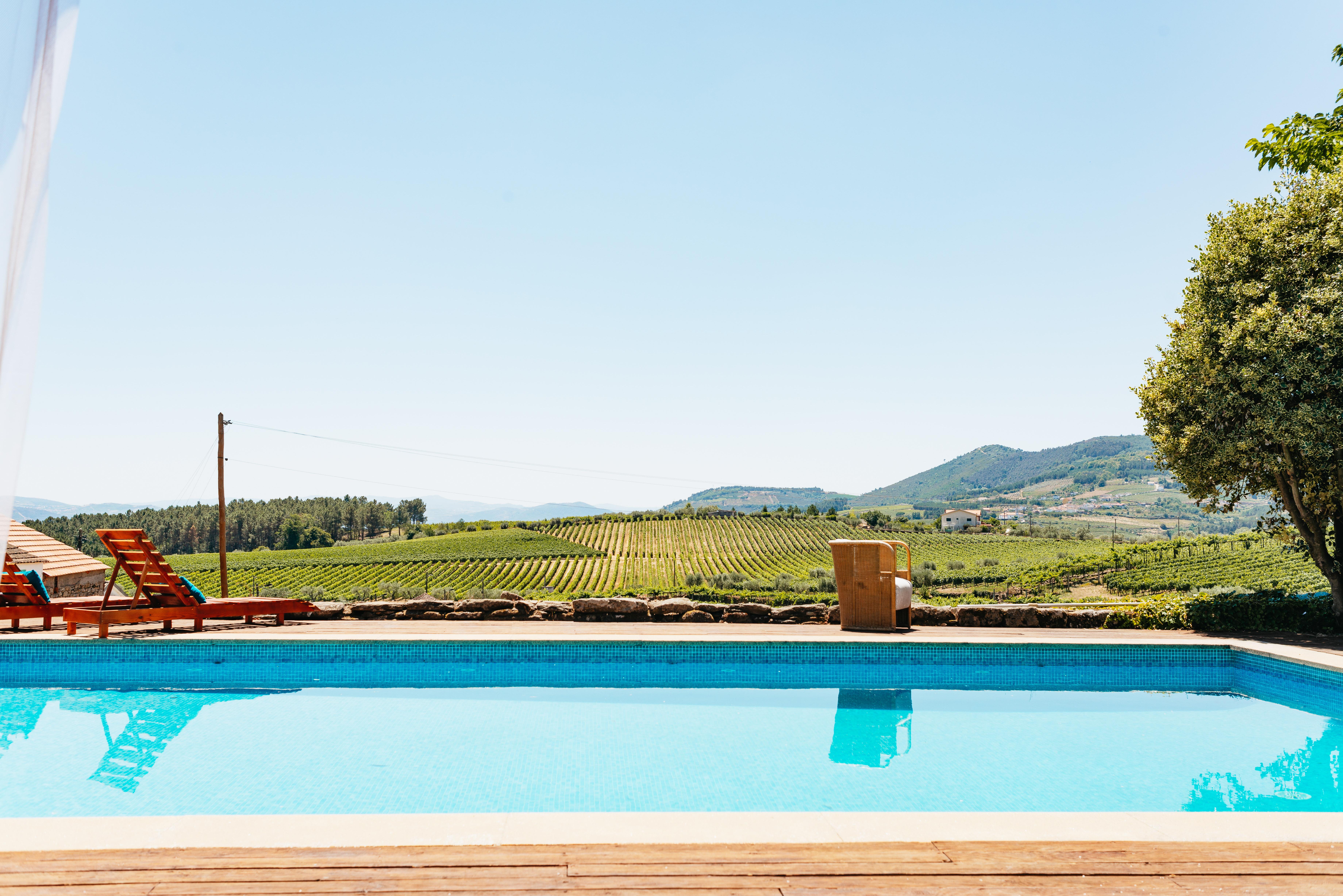 Douro Valley Wine Tour with River Cruise from Porto