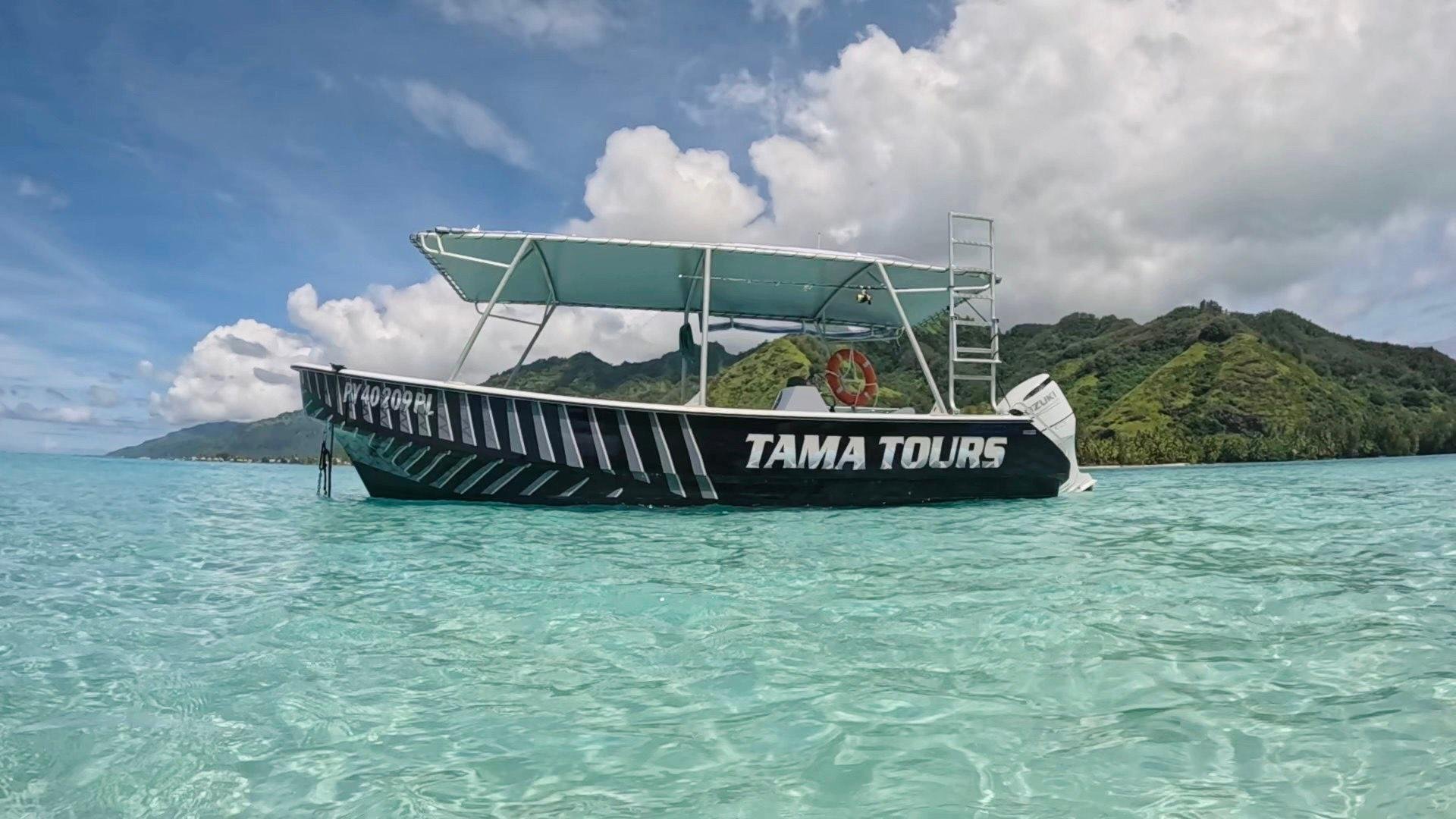 Private Humpback Whale Encounter in Moorea