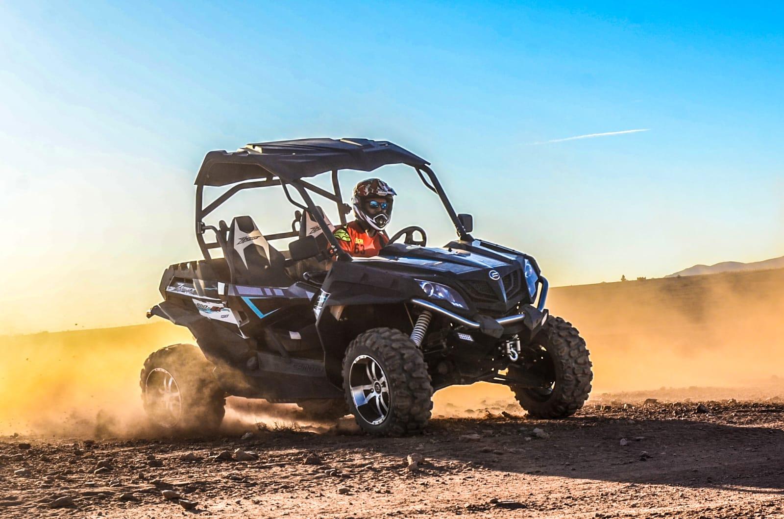 Palm Grove Desert Buggy Adventure