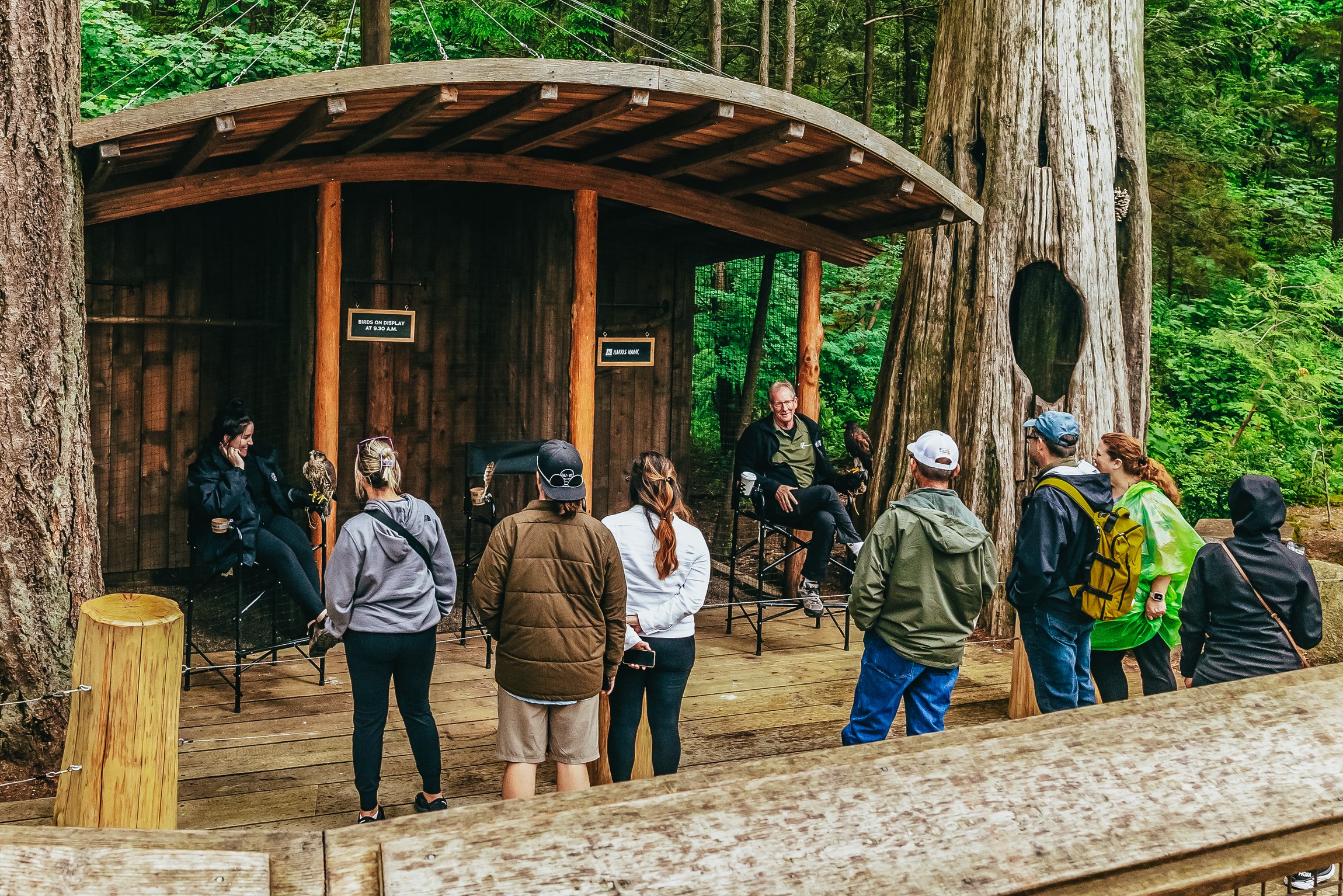 Vancouver Highlights: City Tour, Capilano Bridge & Granville Island