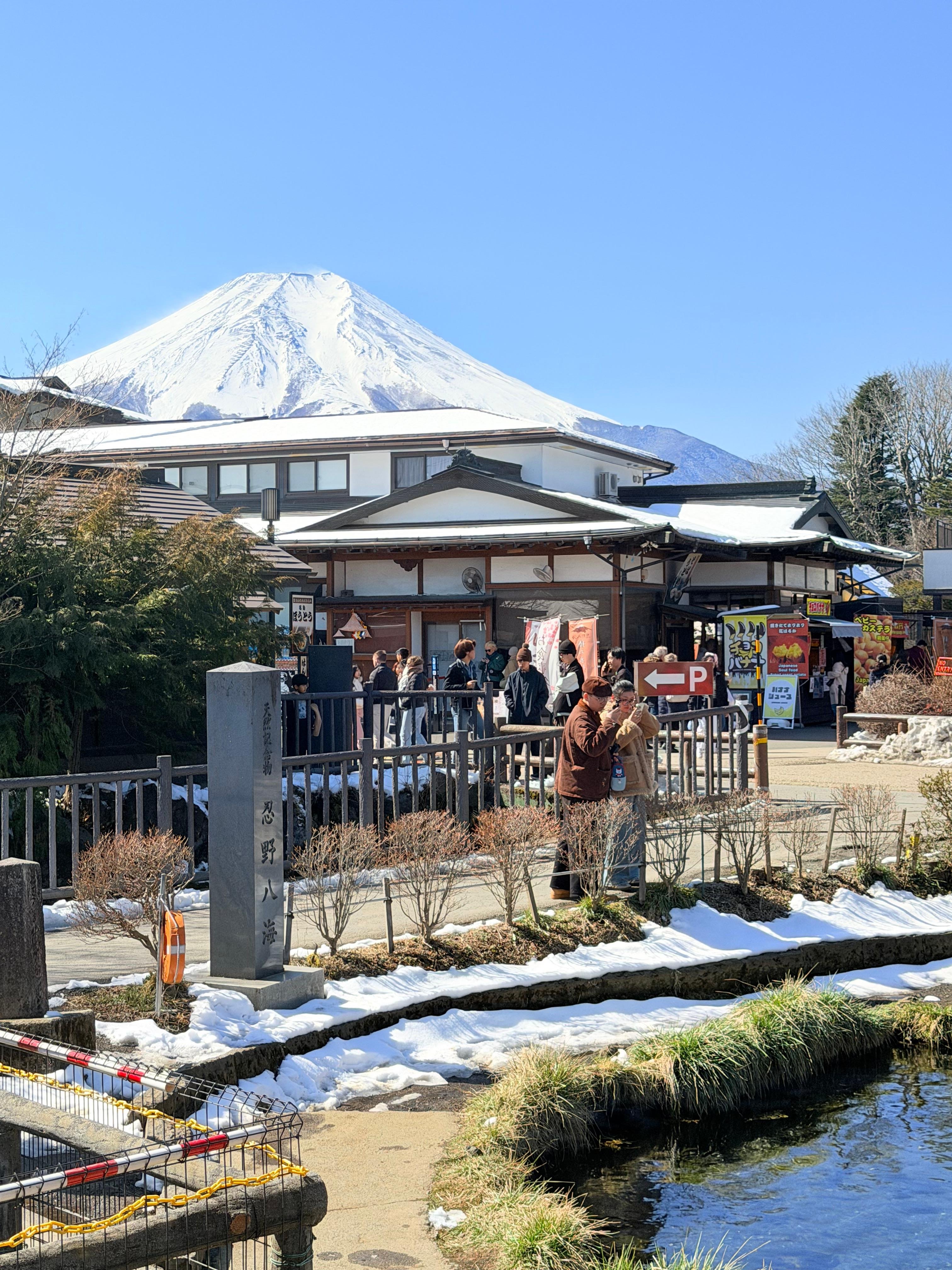 Tokyo to Mt. Fuji & Hakone: Private Full-Day Tour with English Driver
