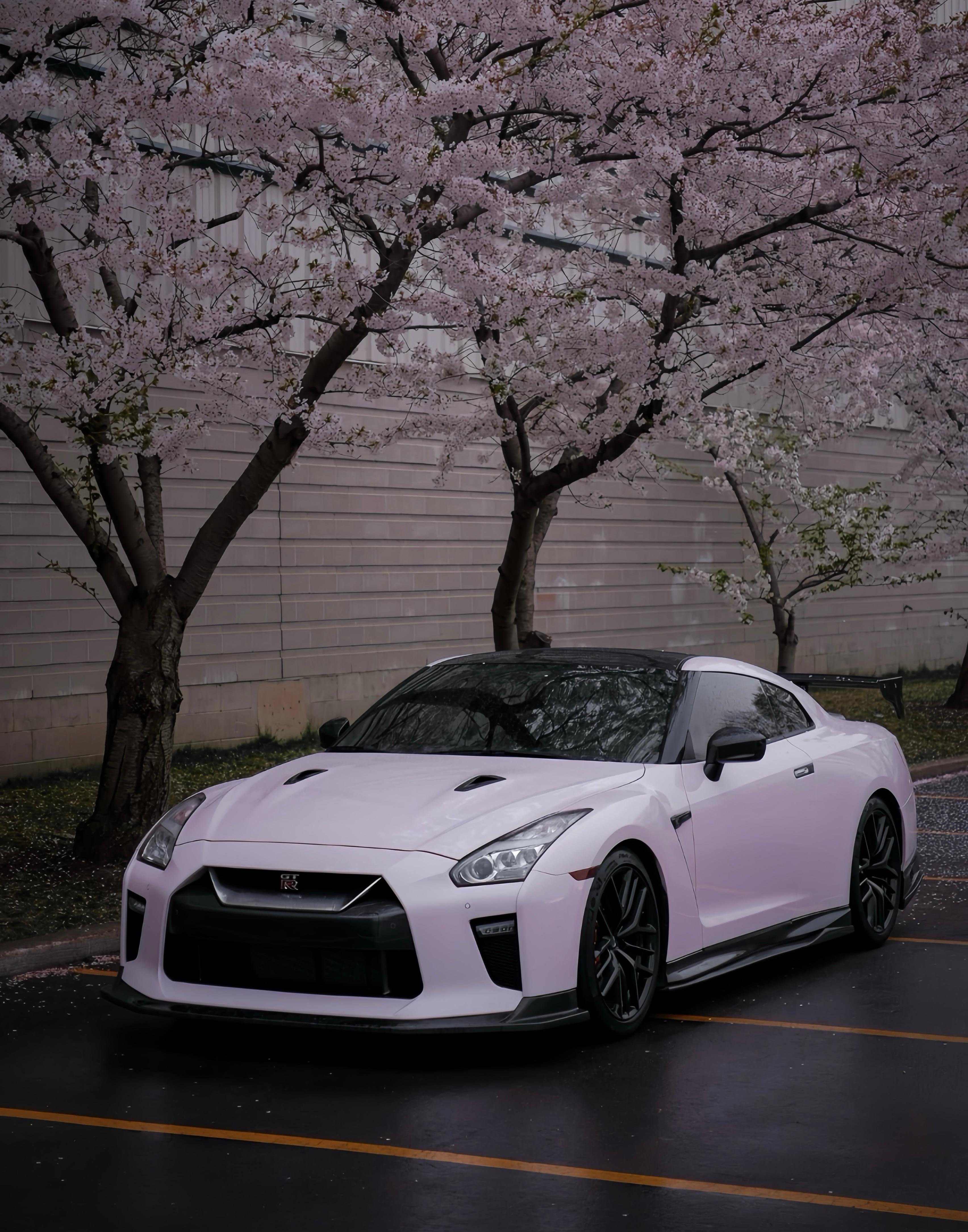 Tokyo JDM Tour: Daikoku PA(Tuned JDM Cars, Skyline GTR, RX7)