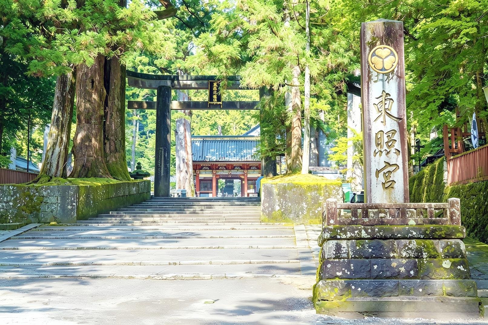 Tokyo to Nikko: Toshogu Shrine & Lake Chuzenji Day Trip