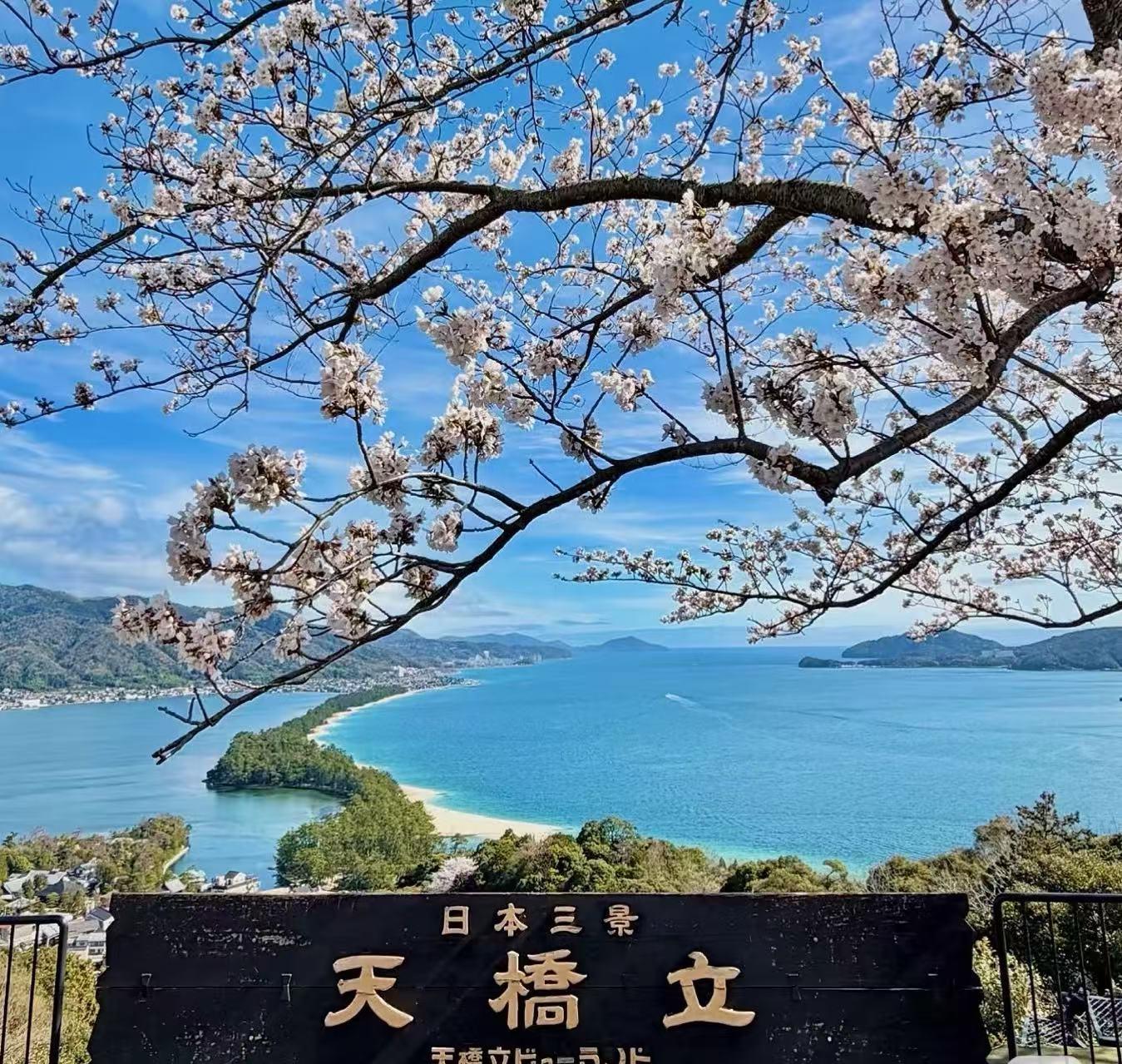 Ine Bay Cruise & Amanohashidate Scenic Tour from Osaka