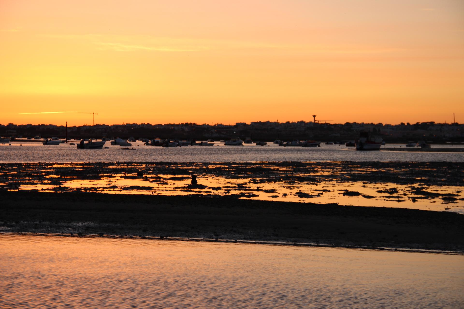 From Faro: Ria Formosa Sunset Boat Trip