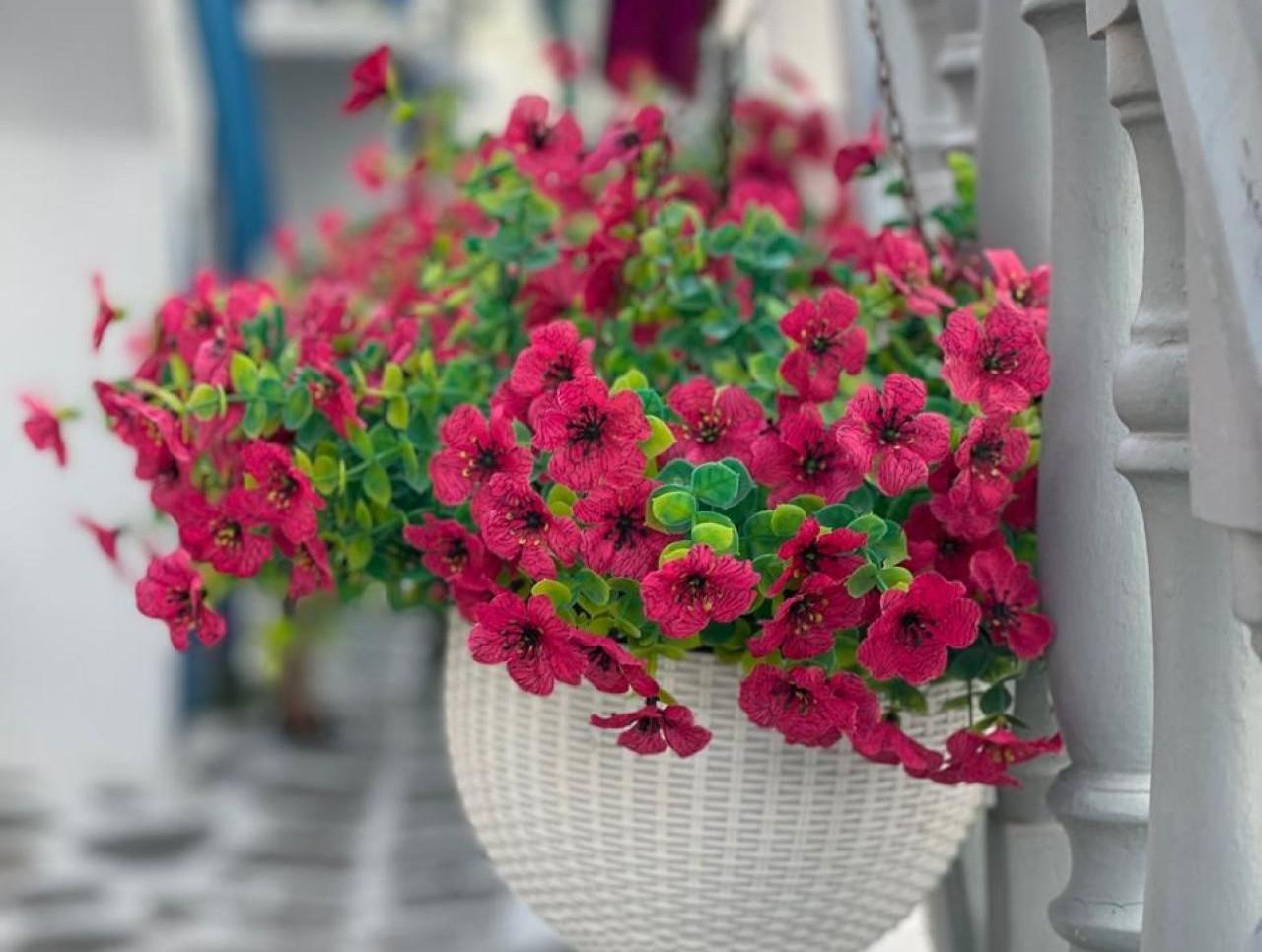 Mykonos Old Town: Aesthetic Secret Alleys & Sunset Photo Tour