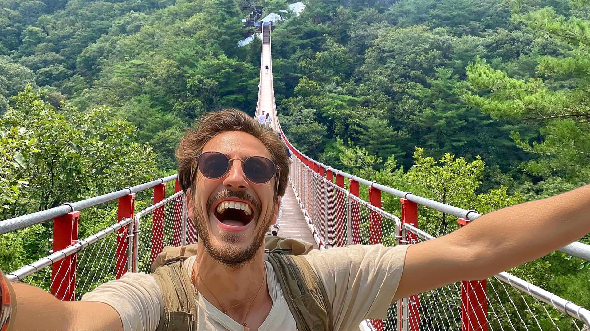Seoul DMZ Day Tour: 3rd Tunnel, Dora Observatory & North Korean Defector Encounter