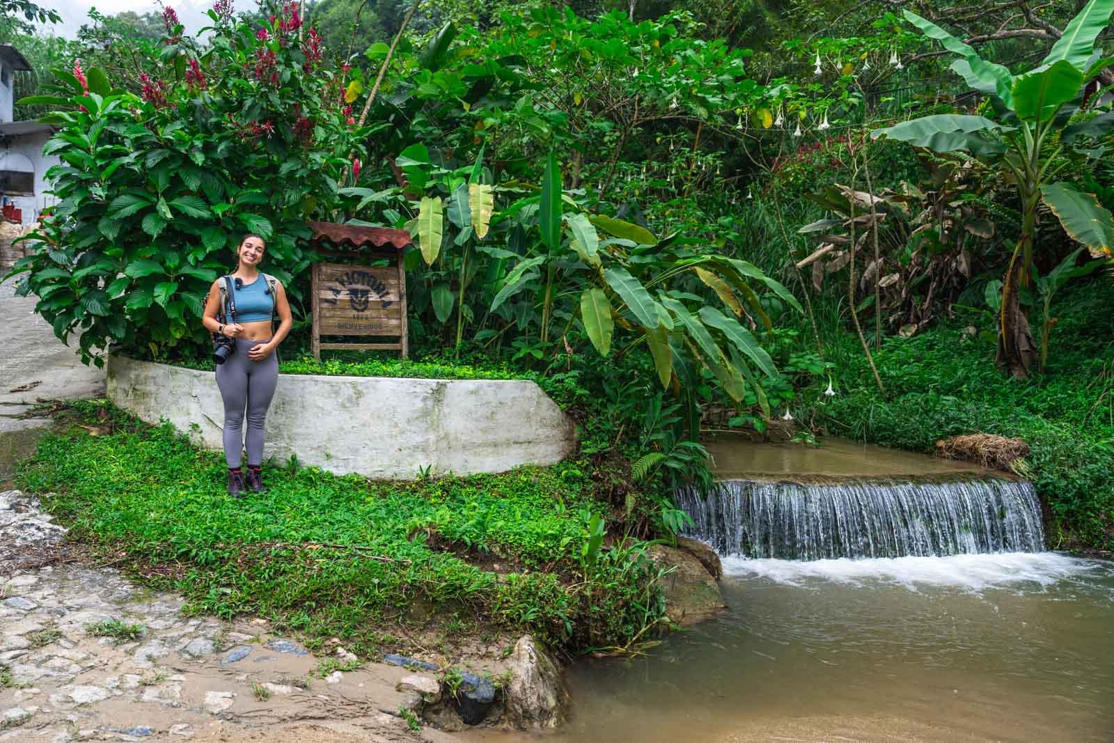 Sierra Nevada Coffee Farm Experience