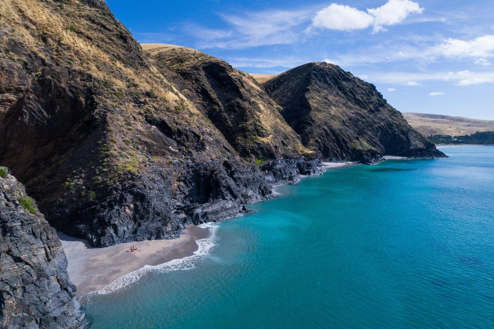 Wirrina Cove Coastal Cruise with Seal Watching