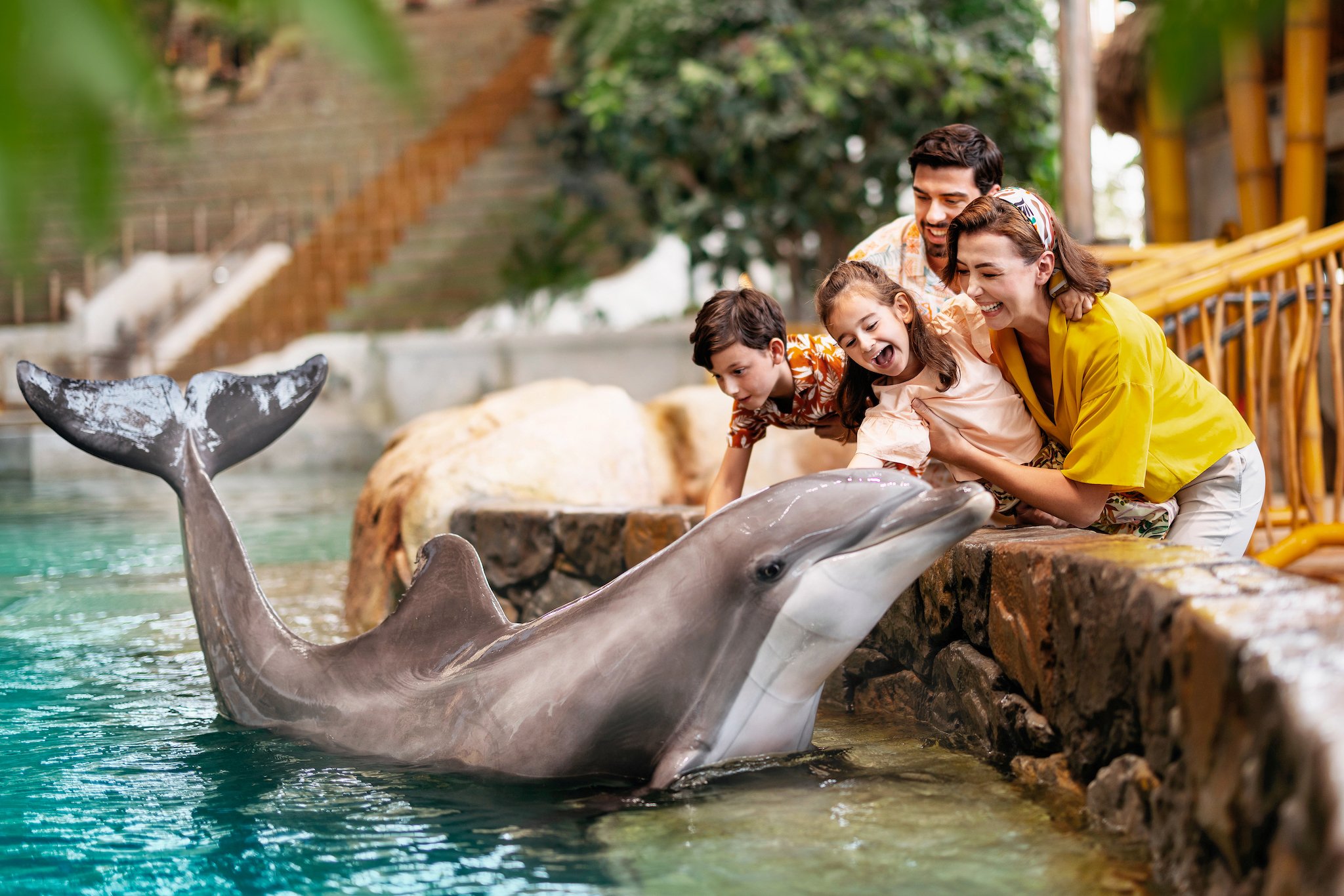 Abu Dhabi: SeaWorld Yas Island Entry Ticket & Add-On Experiences