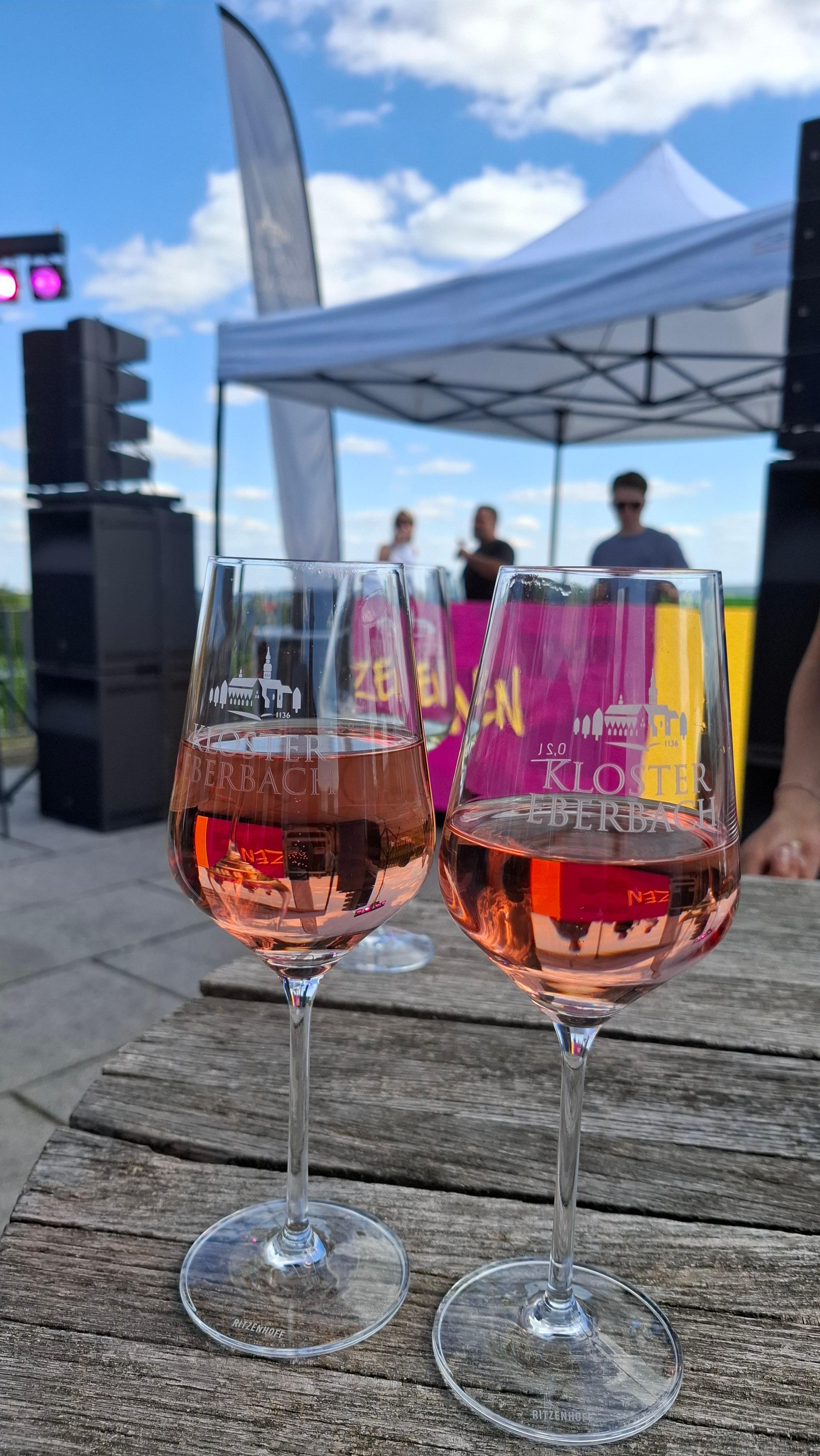 Rheingau Wine Discovery: Estates, Tastings & Rhine Valley Views