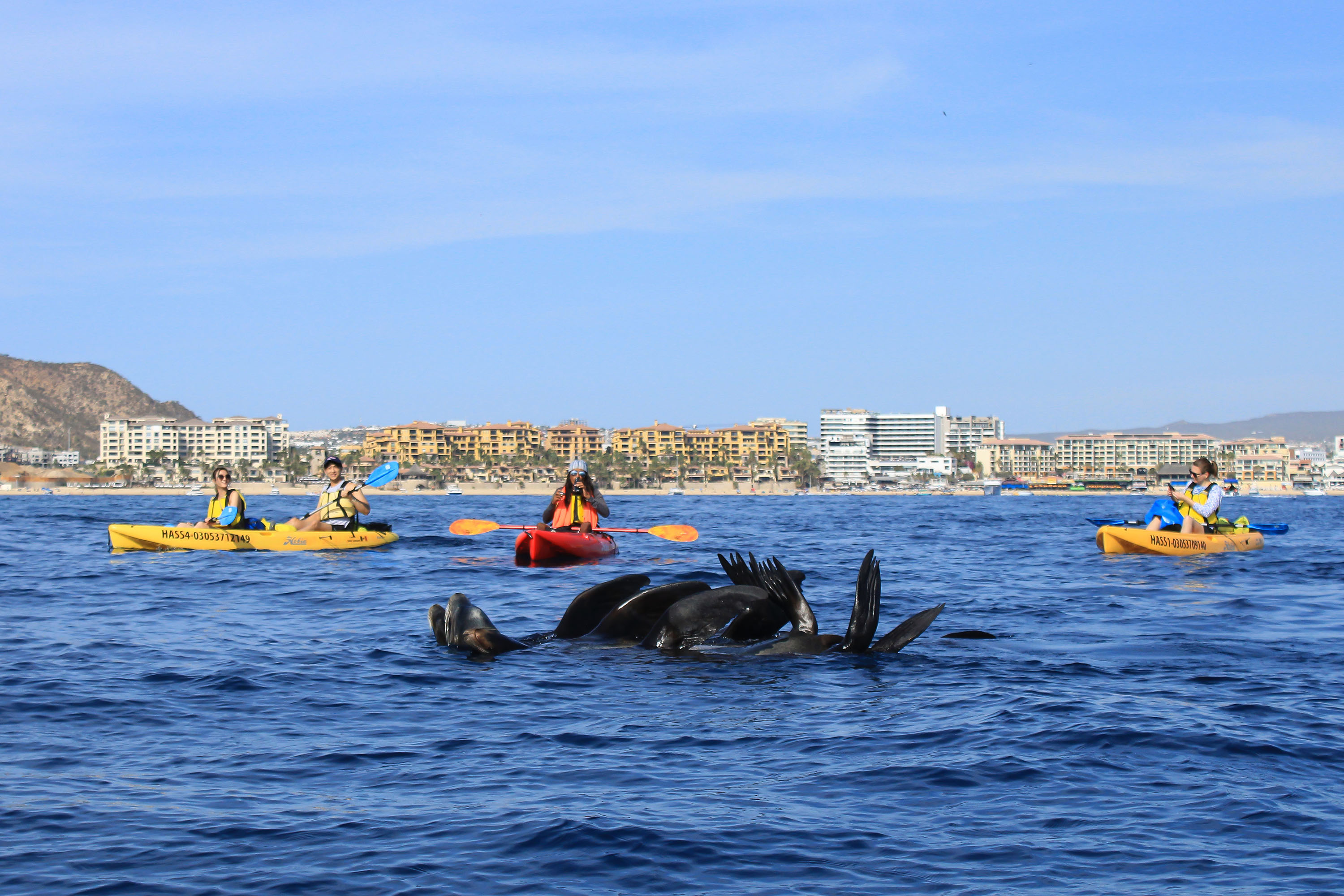 Los Cabos Sunrise Kayak to The Arch, Snorkel & Hotel Transfer