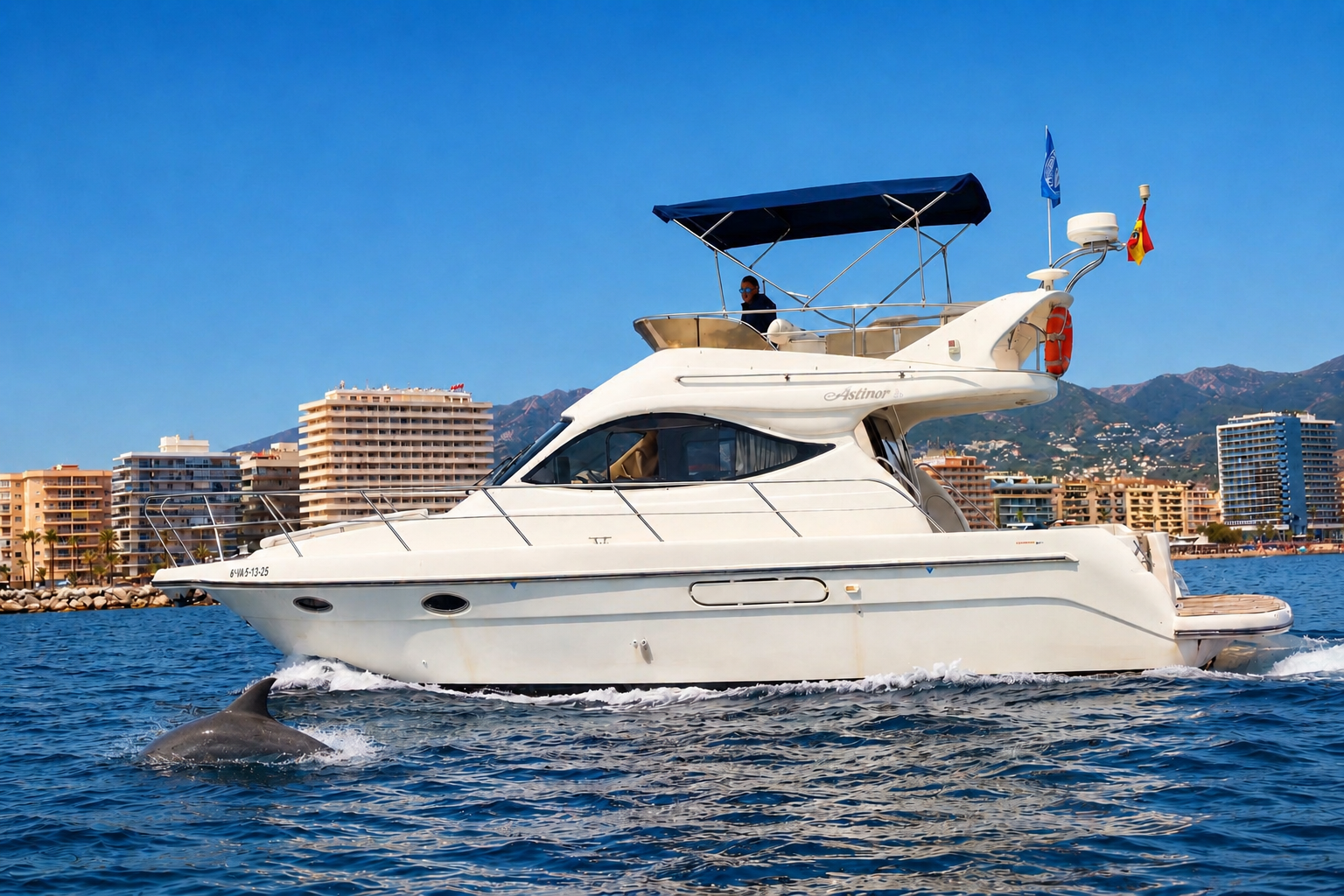 Luxury Yacht Dolphin Watching in Fuengirola