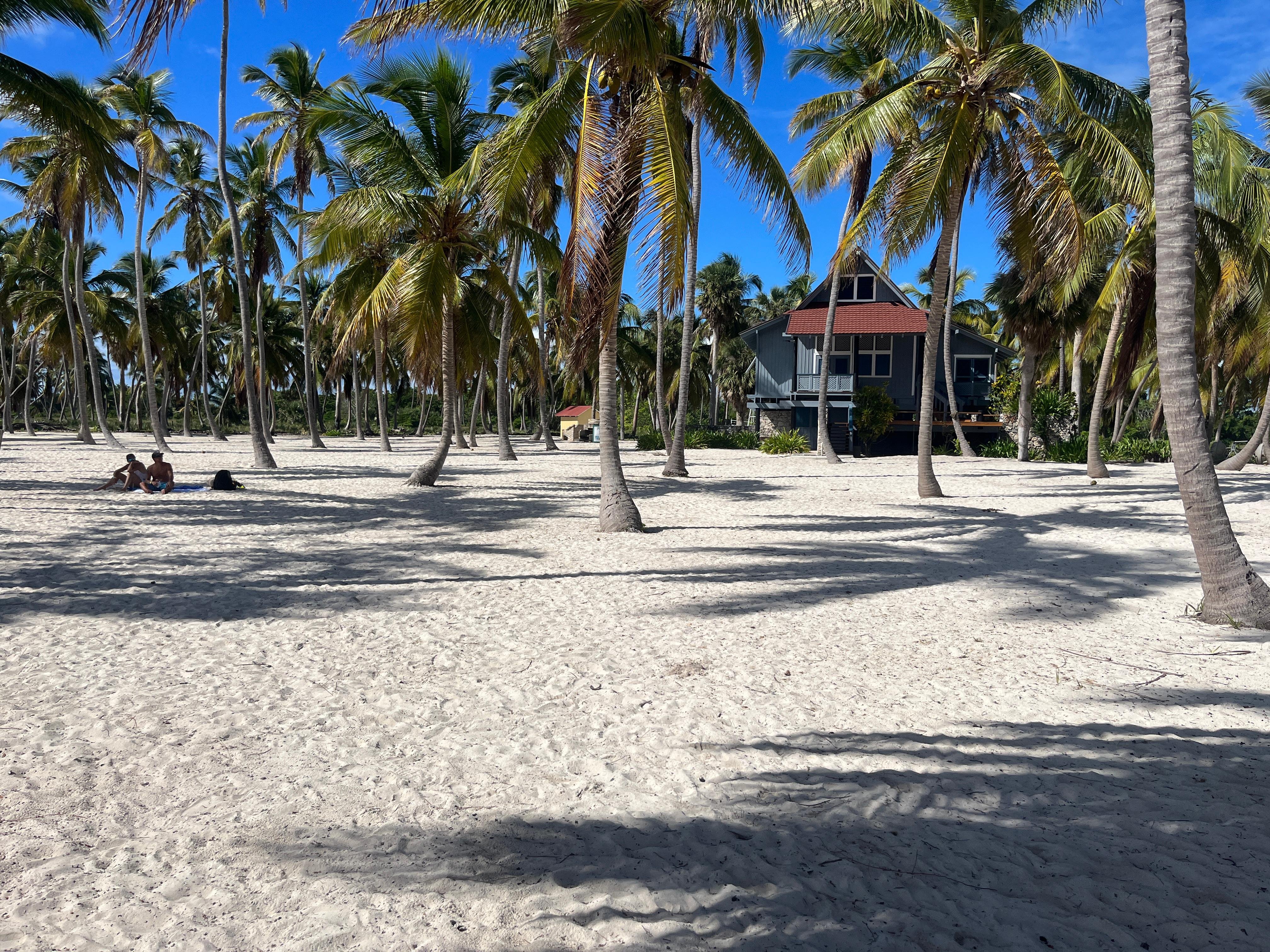 Small Group Saona Island Cruise & Beach Escape