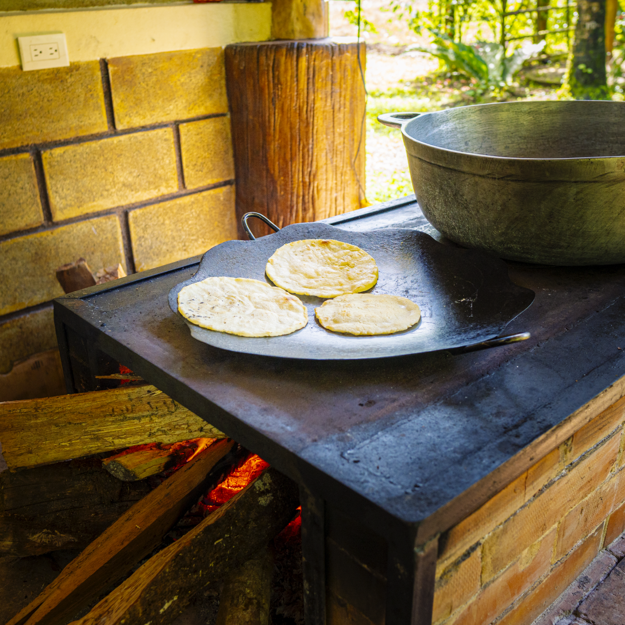 La Fortuna Sloth & Rainforest Experience with Cooking Class