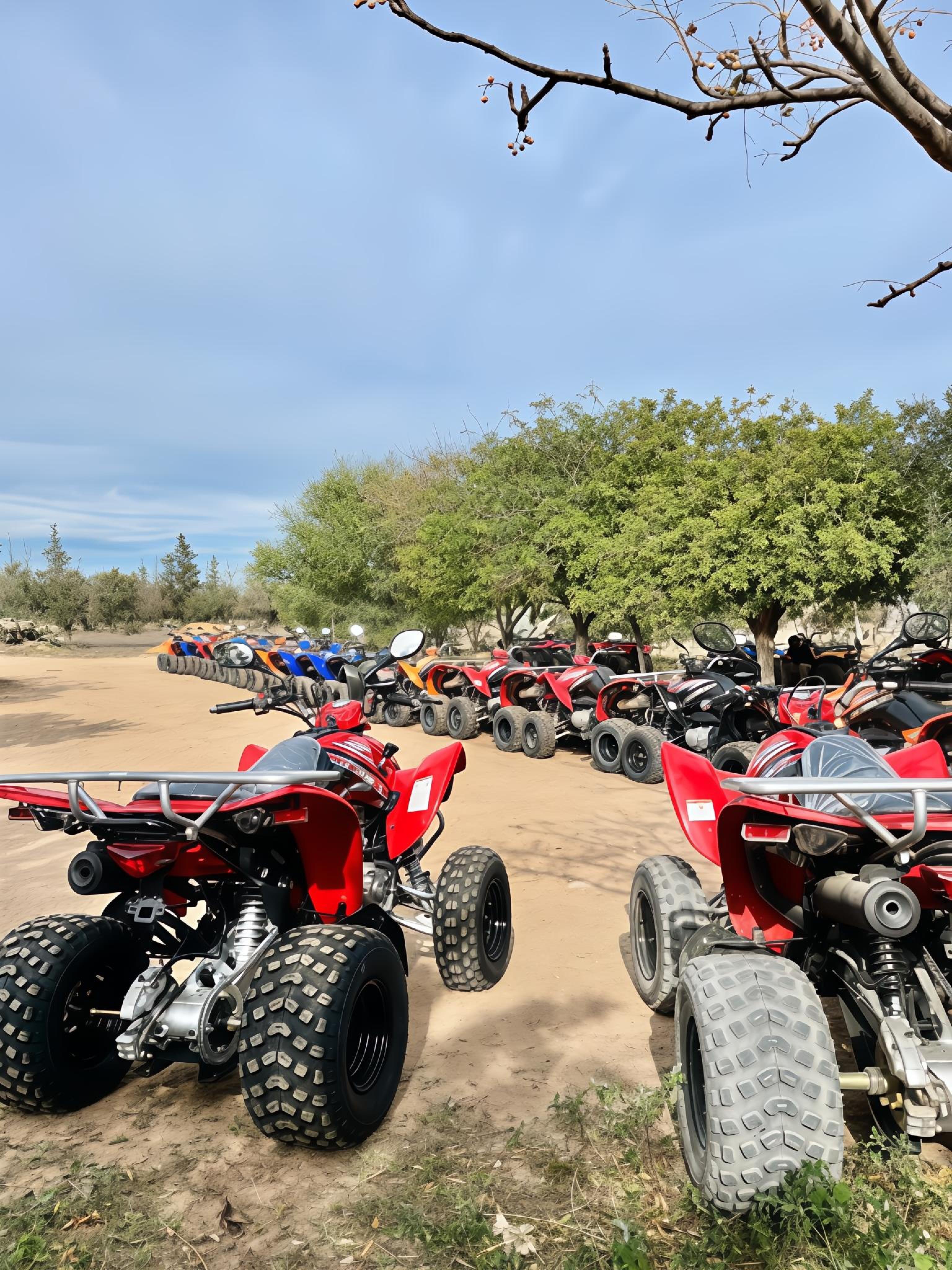 Hammamet Quad Bike Adventure Through the Hills