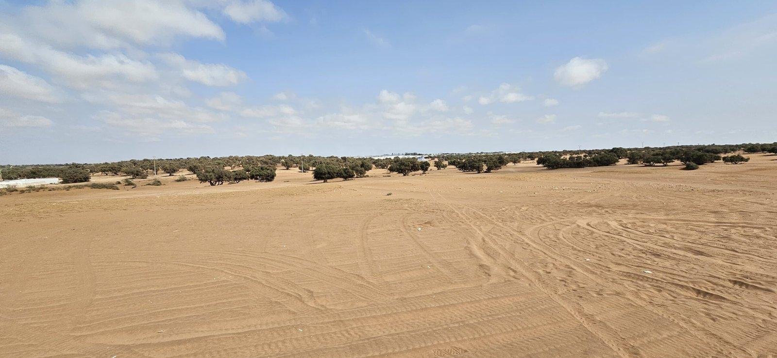 Agadir Private Quad Safari: Dunes, Forests & Beaches