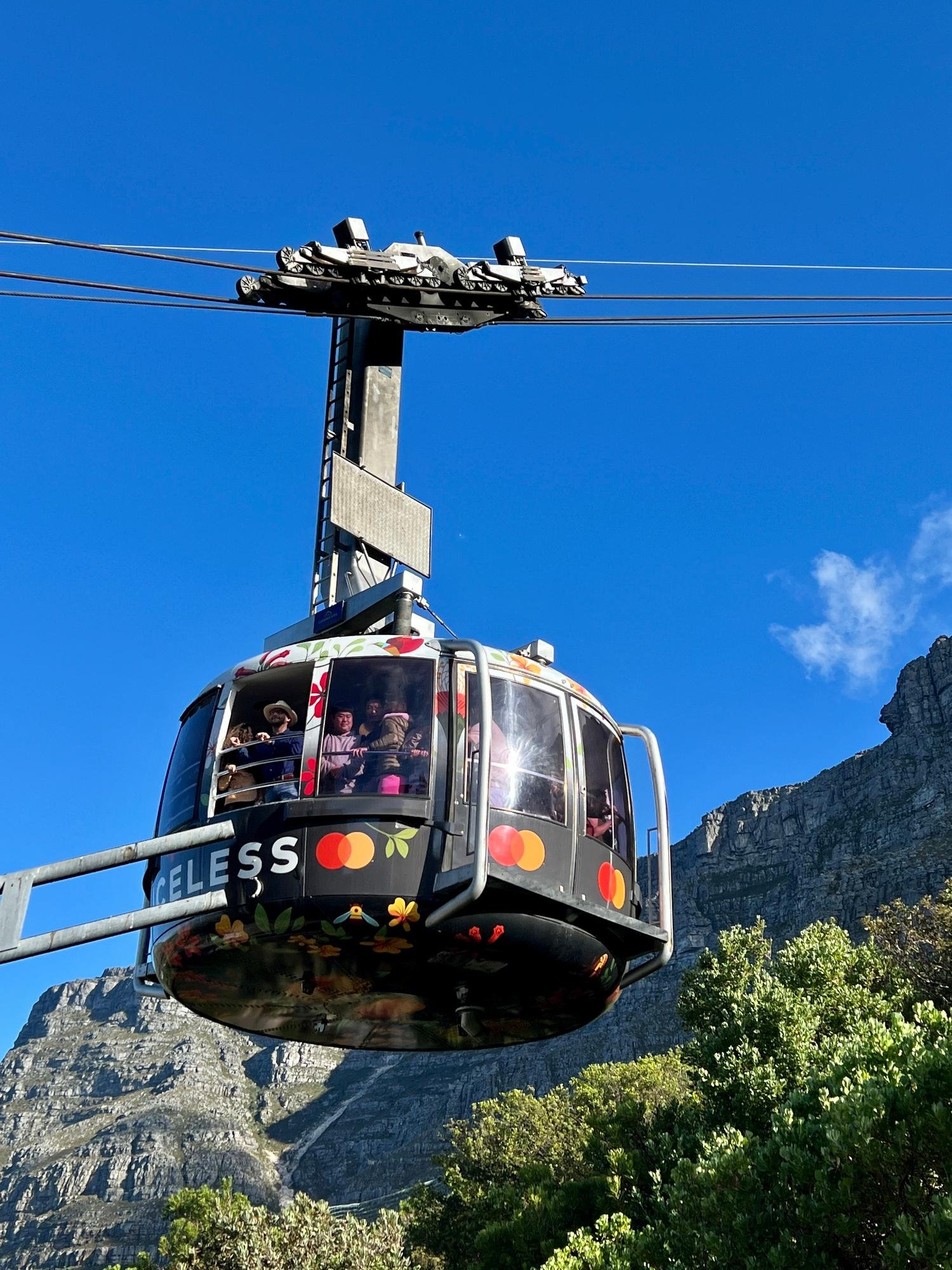 Cape Town Full-Day Tour: Table Mountain, Cape Point & Penguin Colony