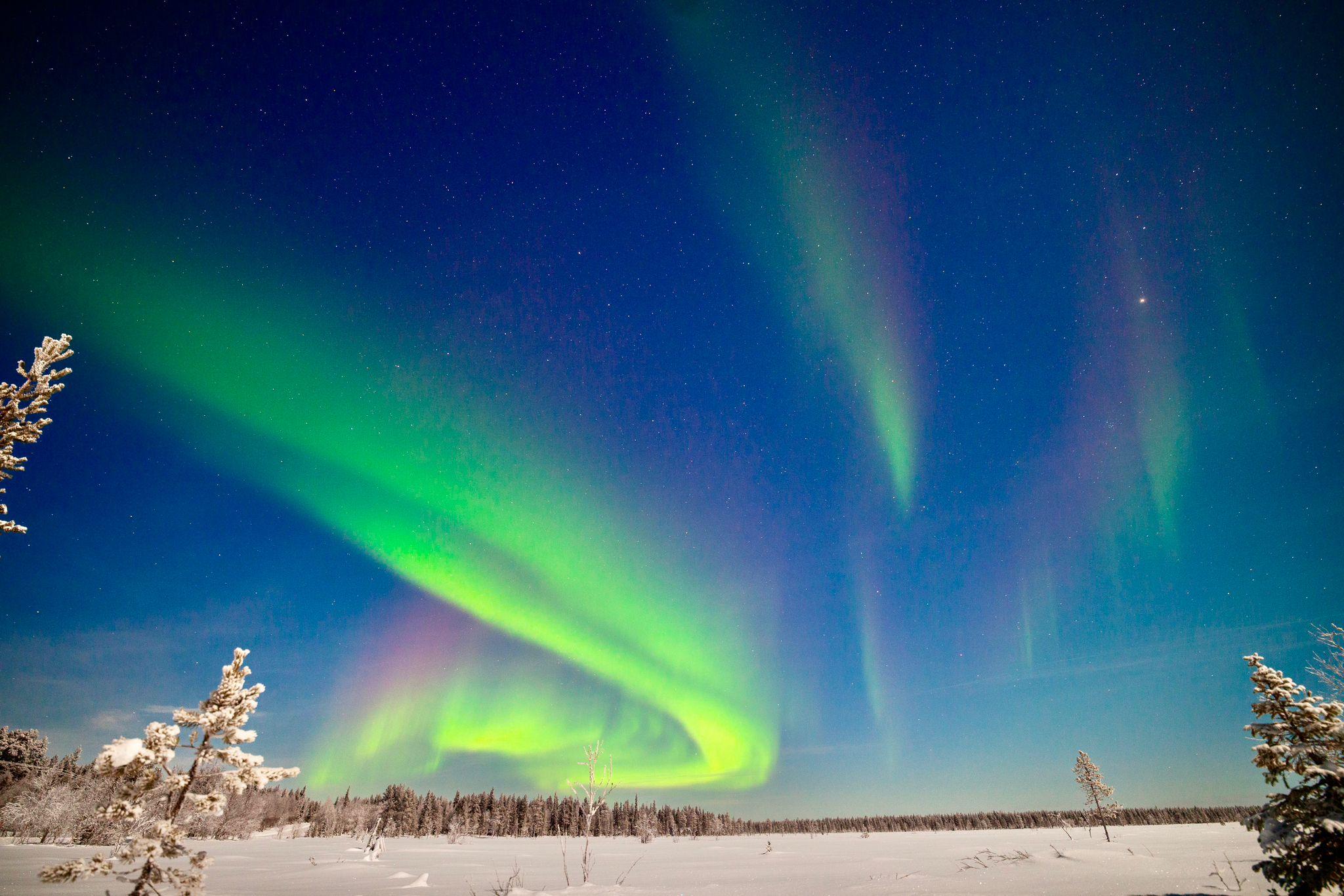 Private Aurora Hunt by Arctic 4x4 from Levi