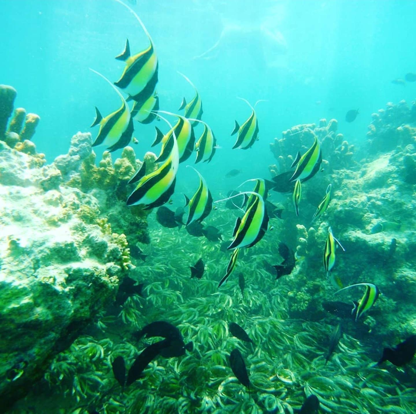 Southern Zanzibar Discovery: Blue Lagoon, Paje & Maalum Cave