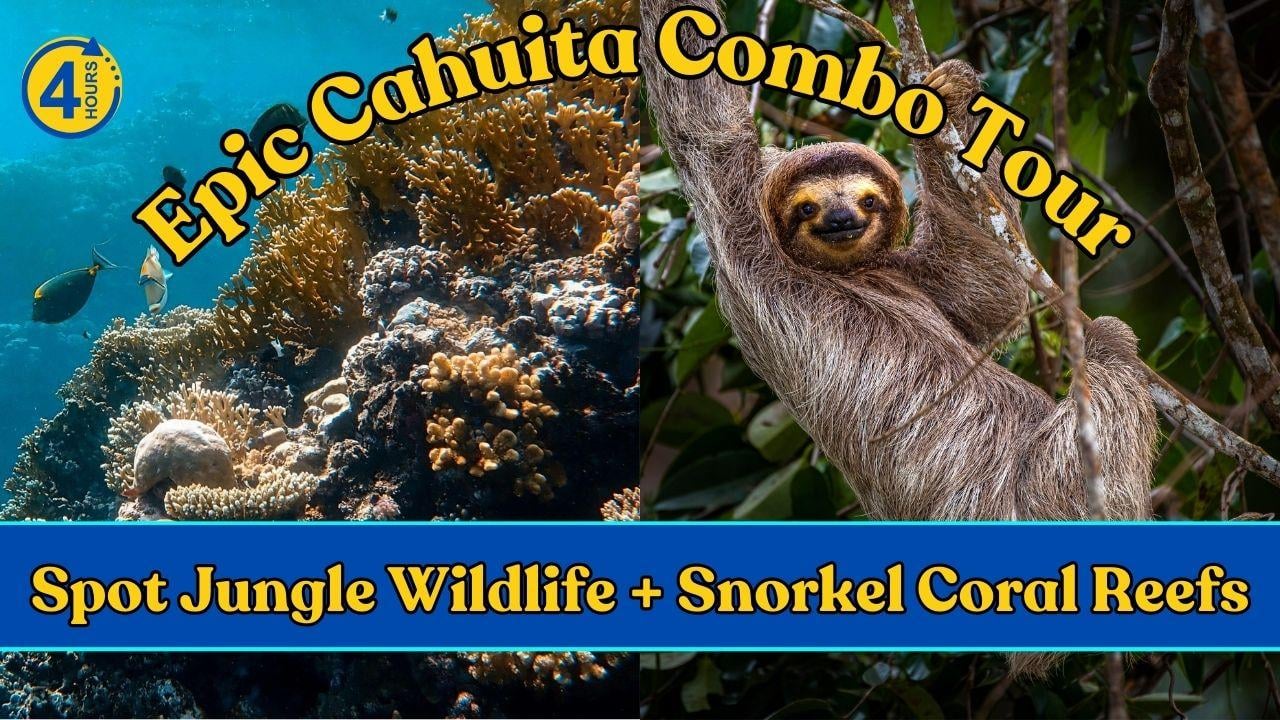 Cahuita Reef & Rainforest Combo: Snorkel and Wildlife Hike