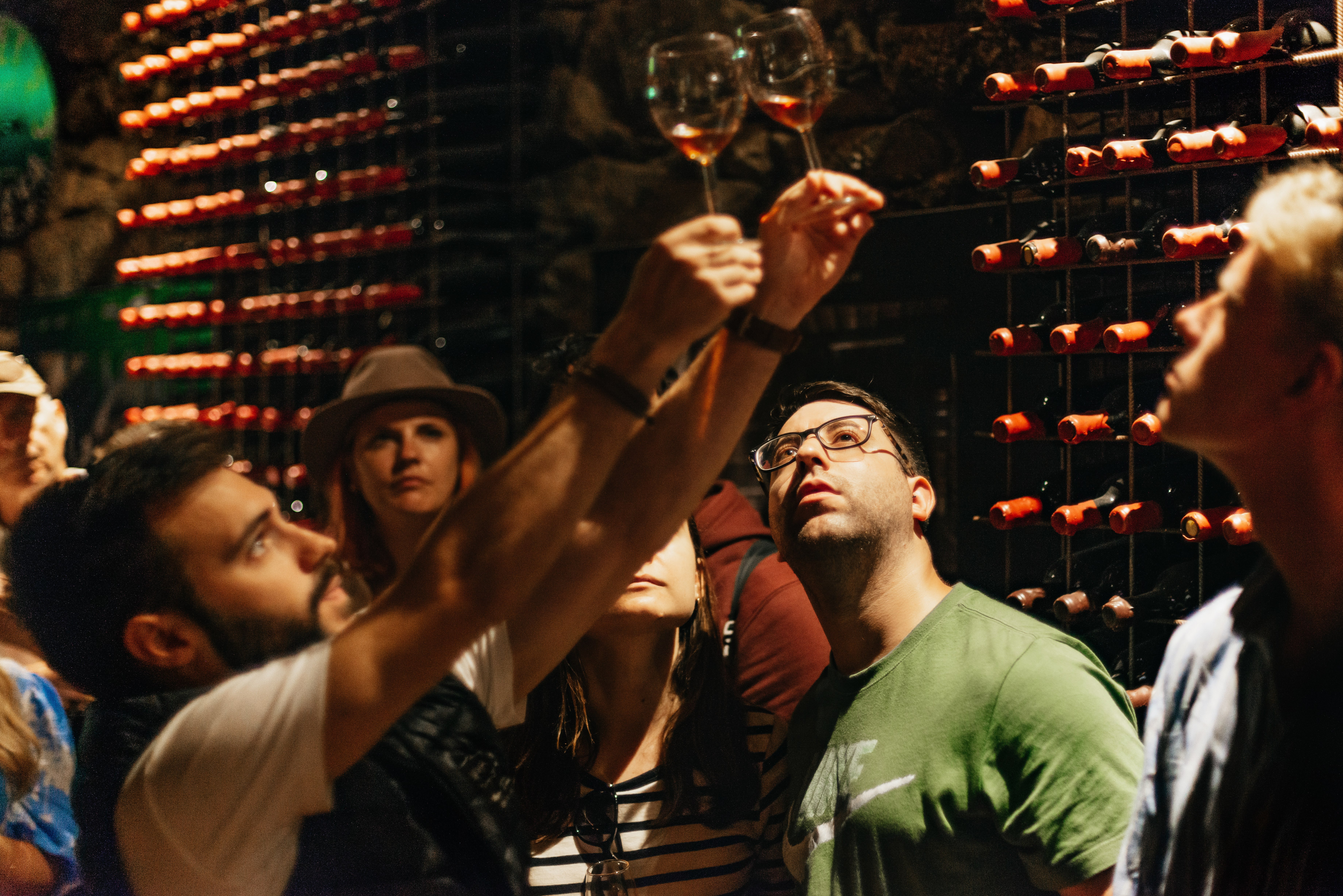 Douro Valley Wine Tour with River Cruise from Porto