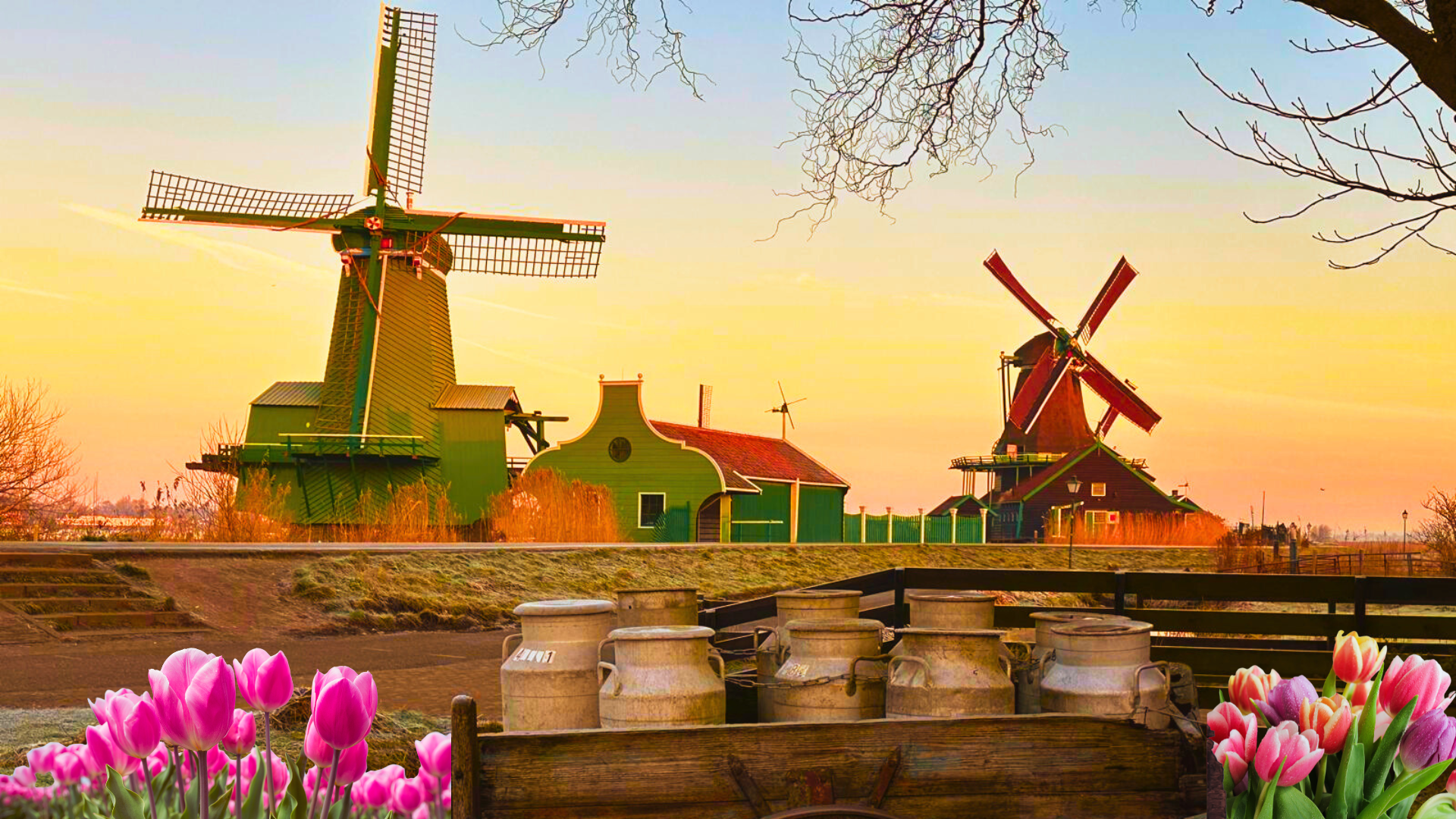 Giethoorn & Zaanse Schans Small Group Tour from Amsterdam