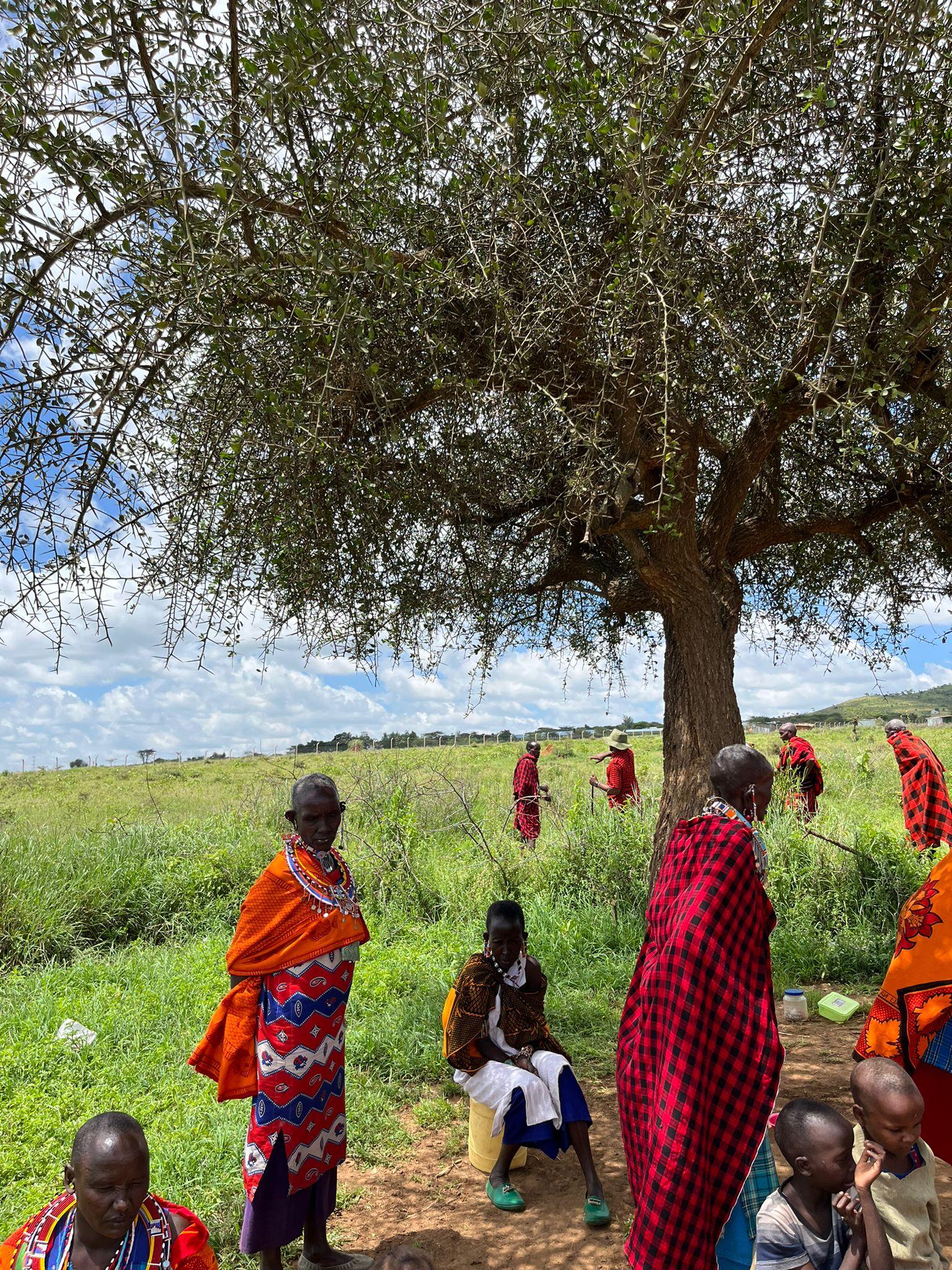 Authentic Maasai Village Day Tour from Nairobi