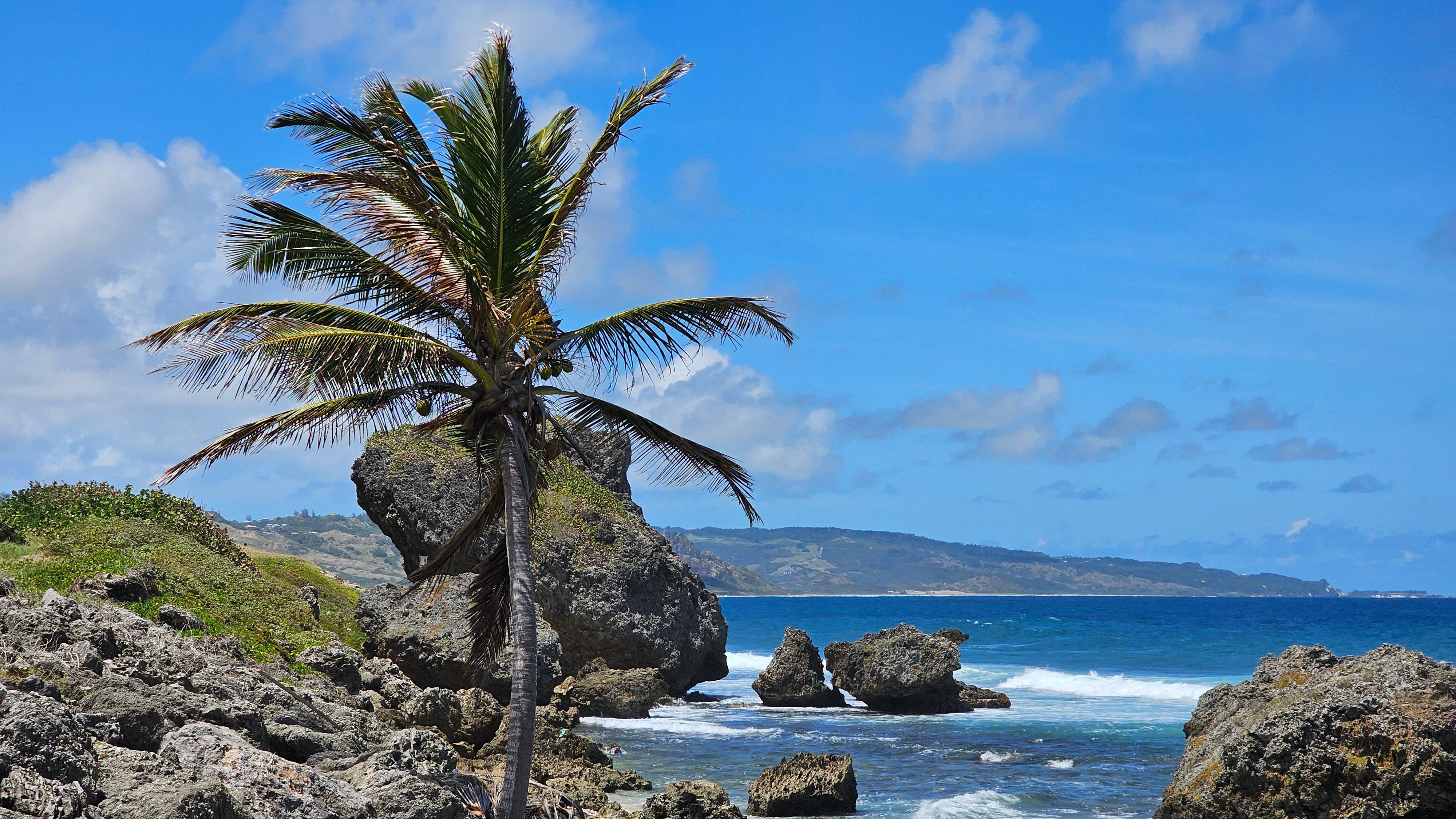 Private Barbados Discovery Tour