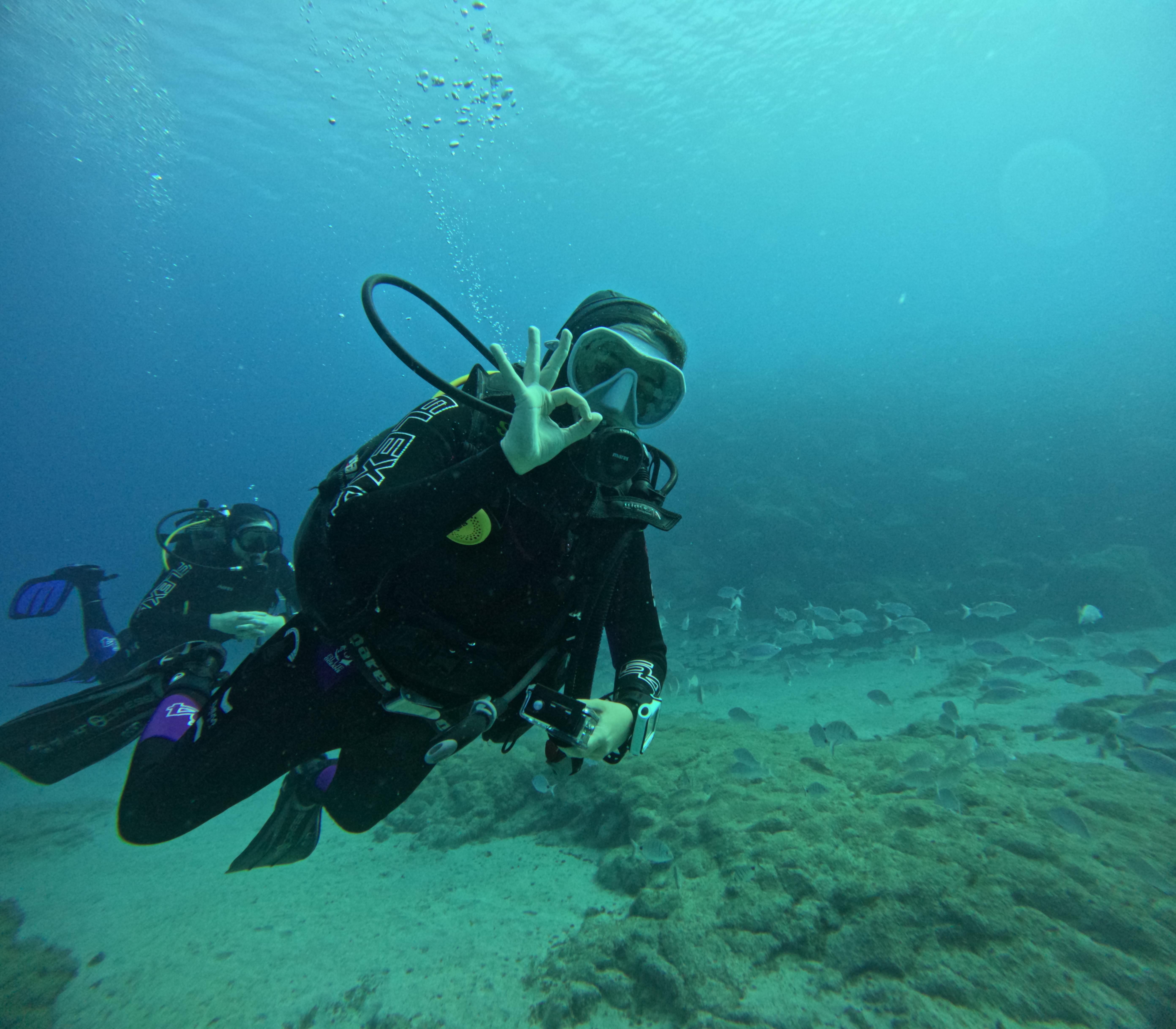 Beginner Scuba Diving at Flamingo Beach