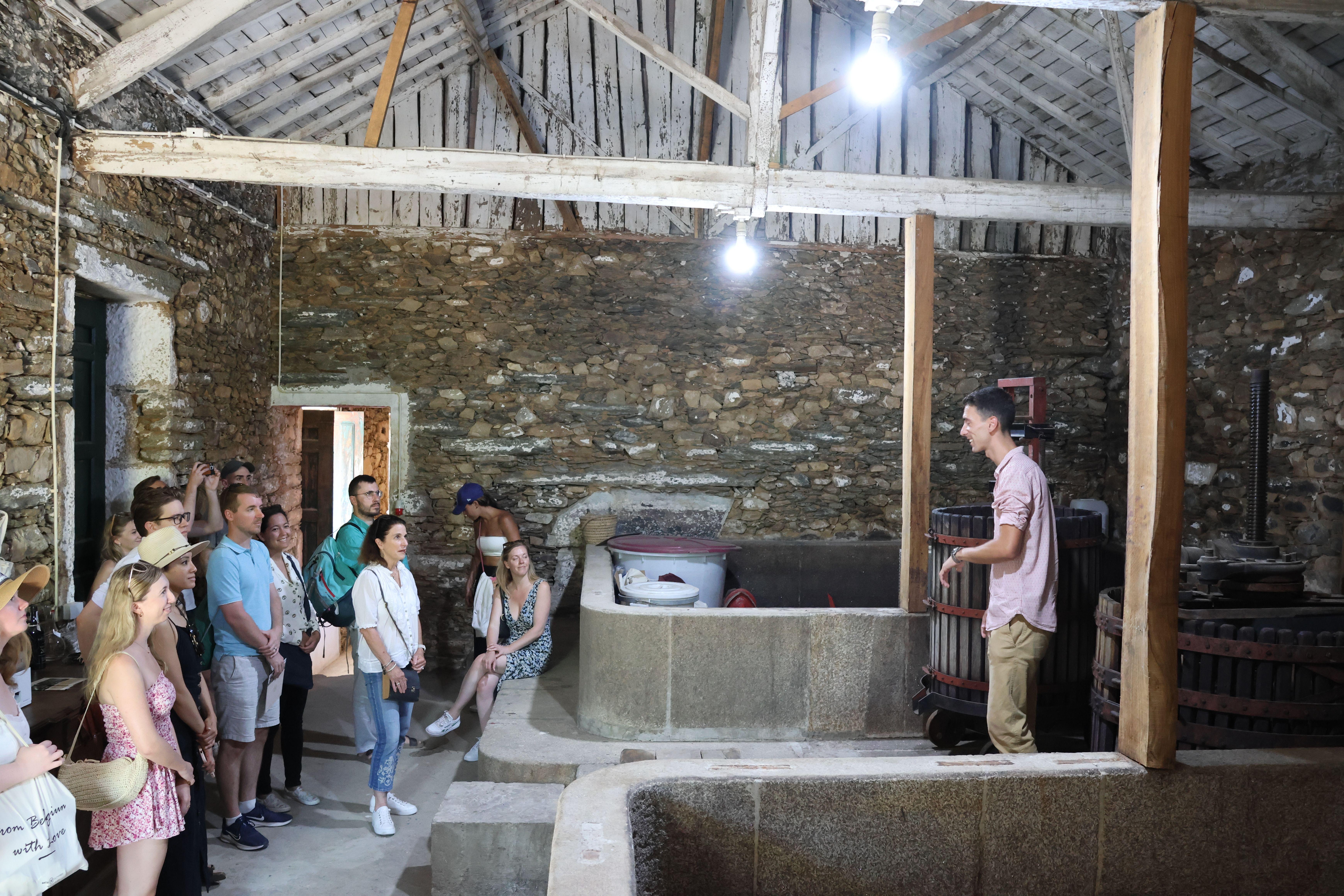 Douro Valley Wine & Cruise Day Trip from Porto