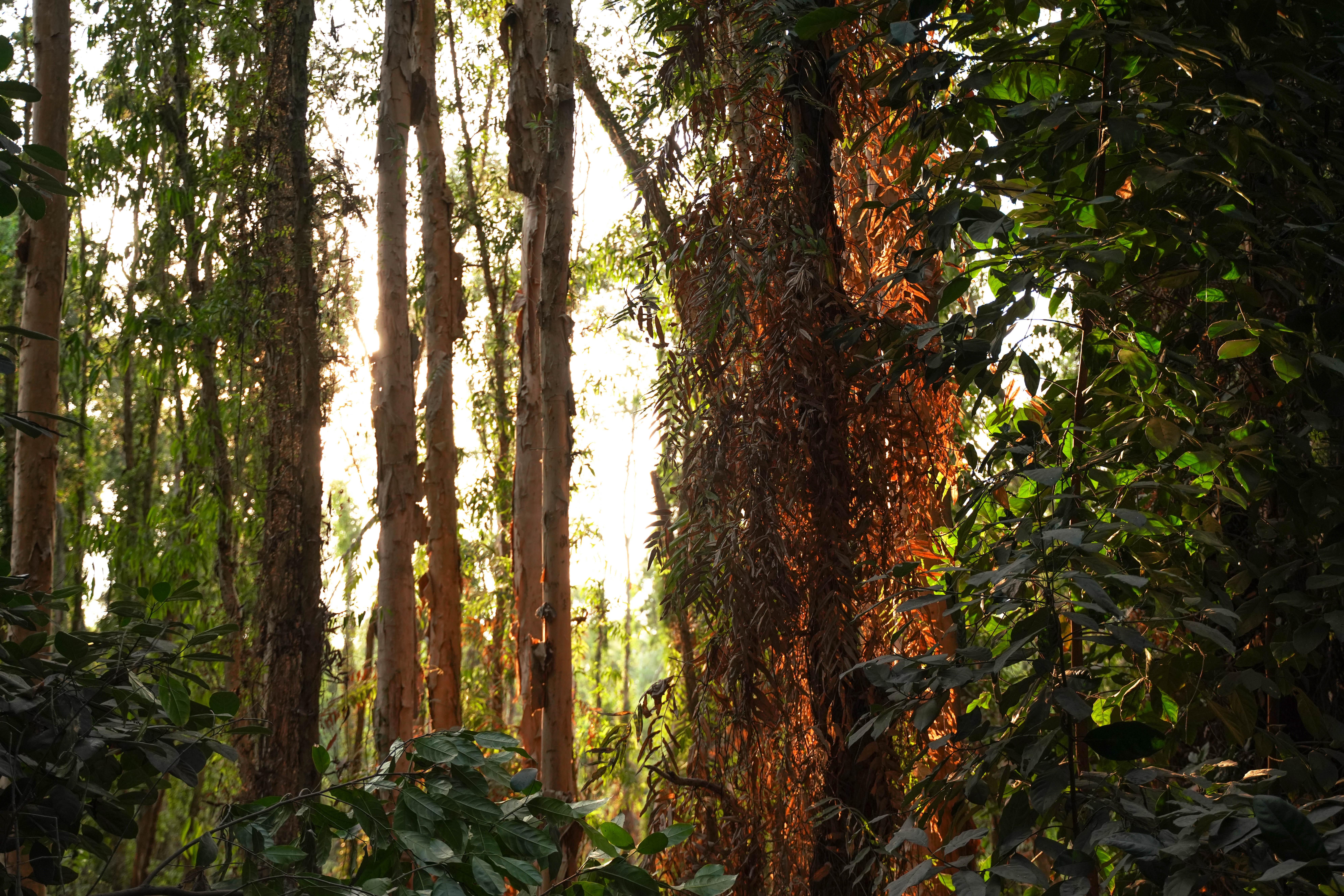 3-Day Mekong Delta Expedition: Ho Chi Minh to Phnom Penh