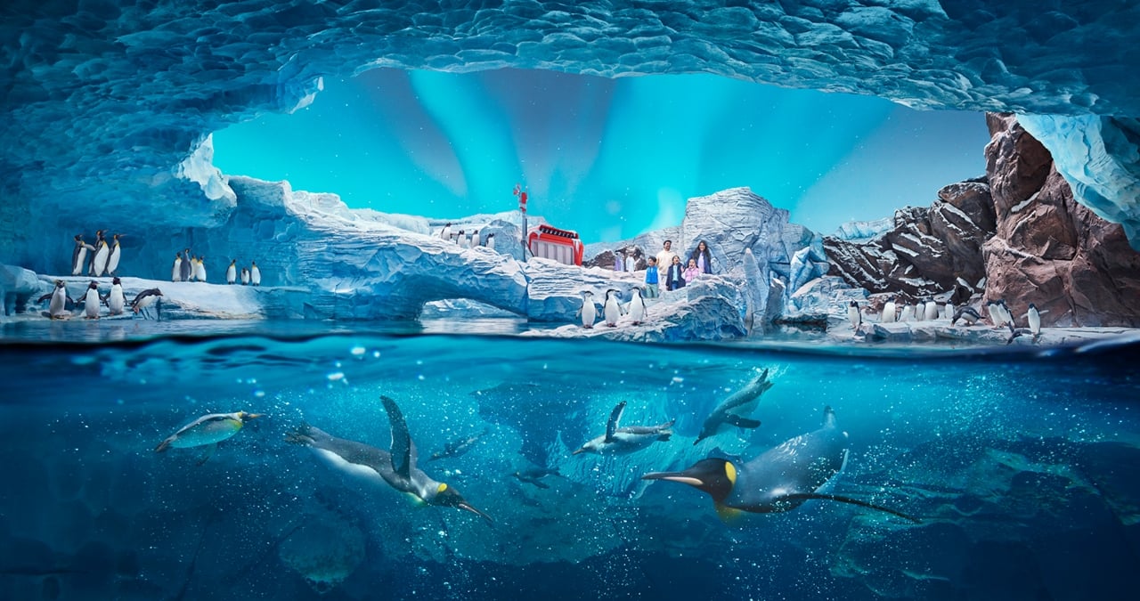Yas Island Multi-Park Adventure Pass – Abu Dhabi