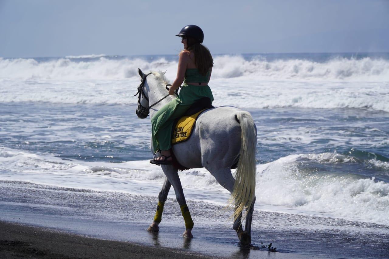 Sanur Beach Horse Riding Adventure