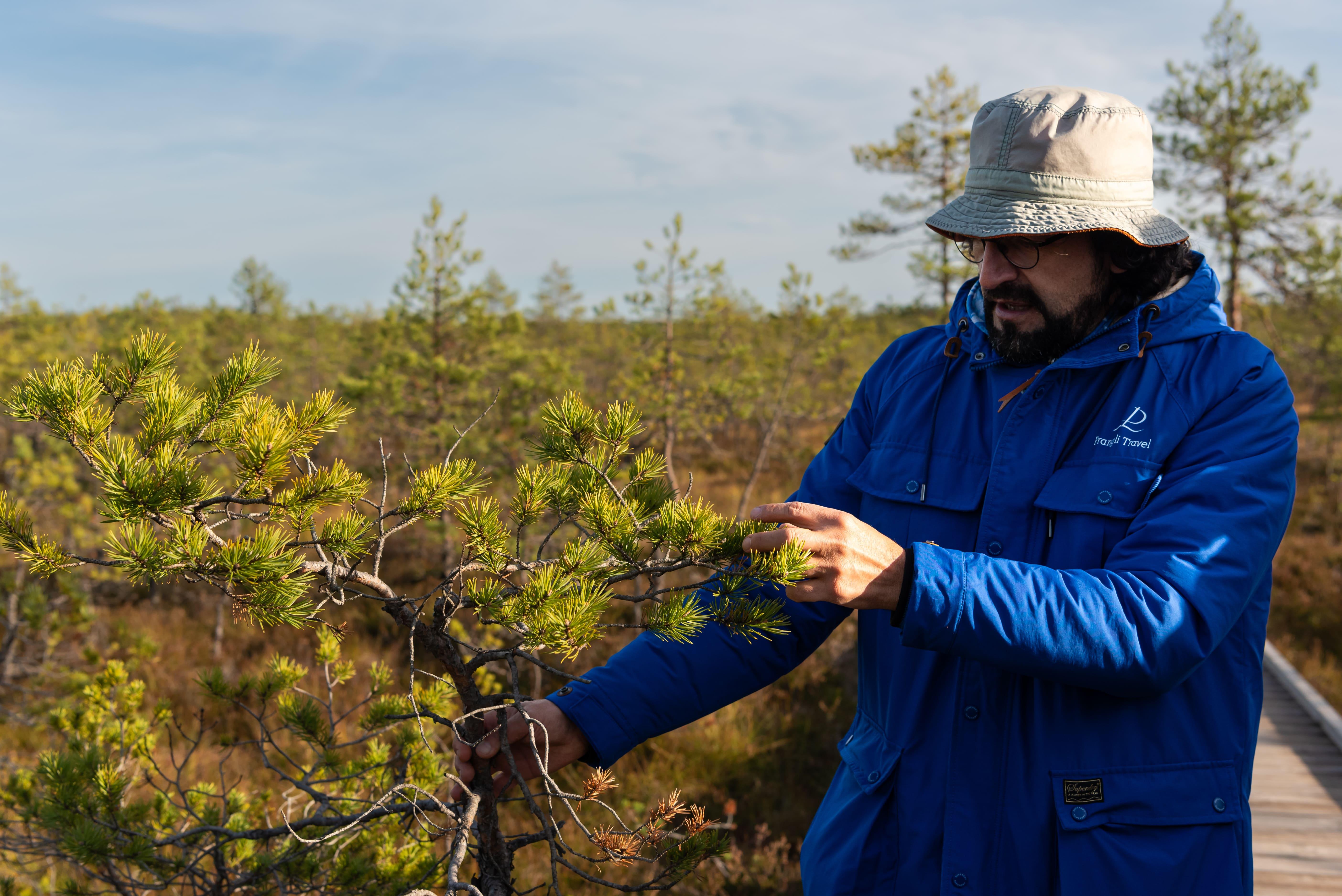 Lahemaa National Park full-day tour from Tallinn — image 8