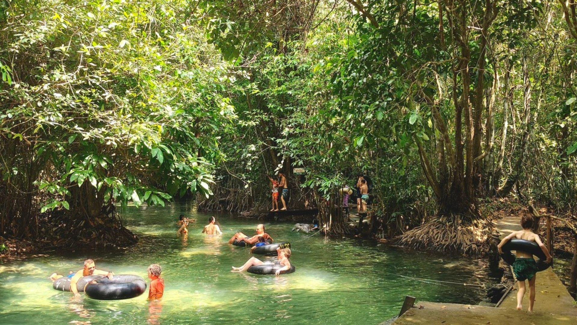 Ao Thalane Mangrove Kayak & Jungle Swim Day Tour