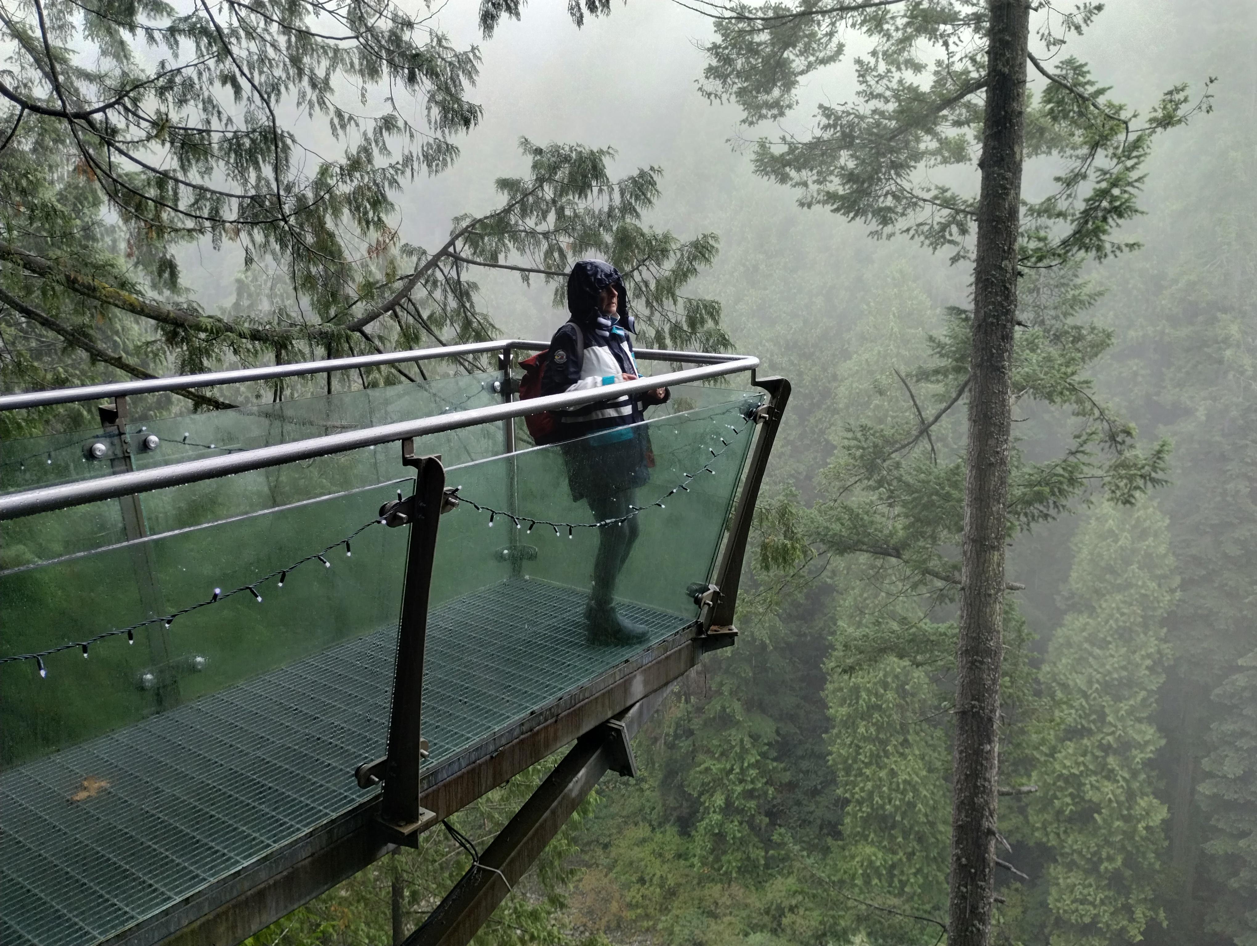 Capilano Suspension Bridge & Stanley Park Small Group Tour