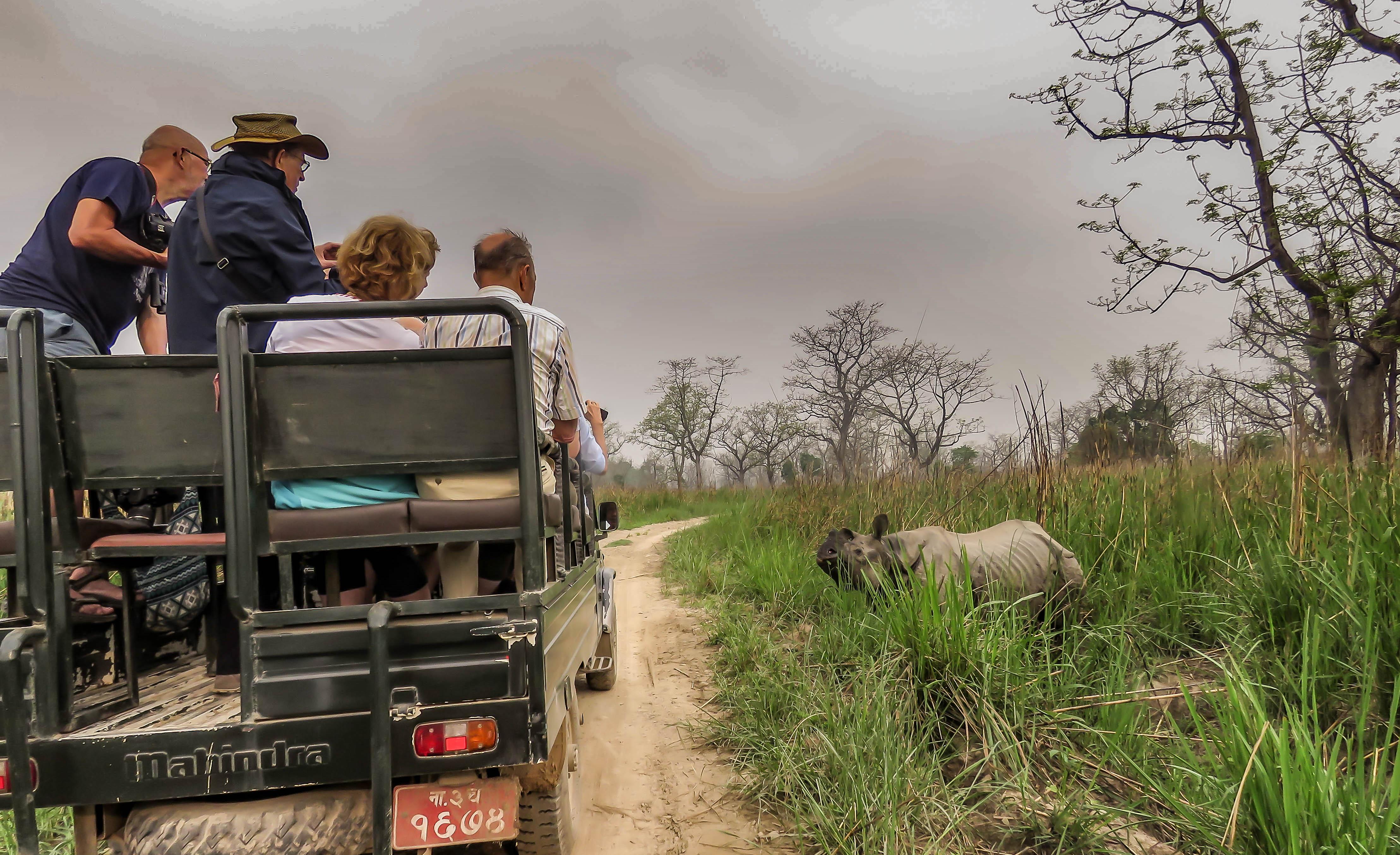 3-Day Chitwan National Park Wildlife Safari from Kathmandu or Pokhara