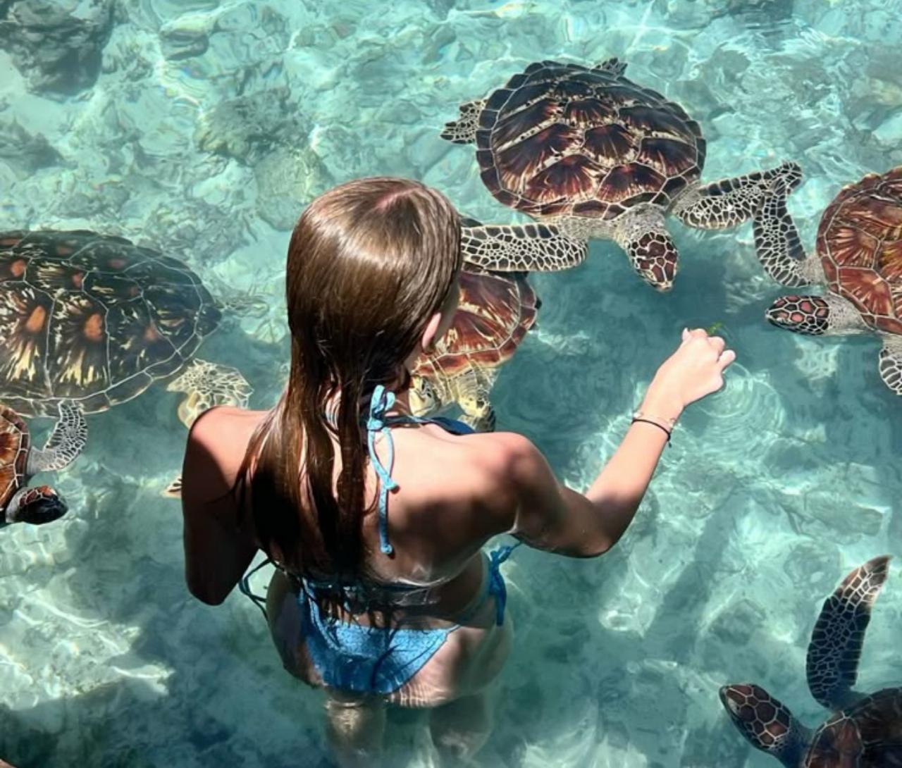 Zanzibar: Jozani Forest, Salaam Cave & The Rock Restaurant Day Tour