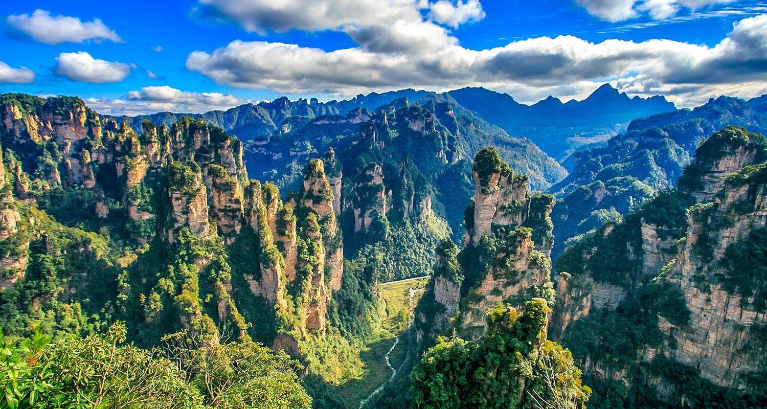 Zhangjiajie Avatar Mountain & Forest Park Full-Day Tour