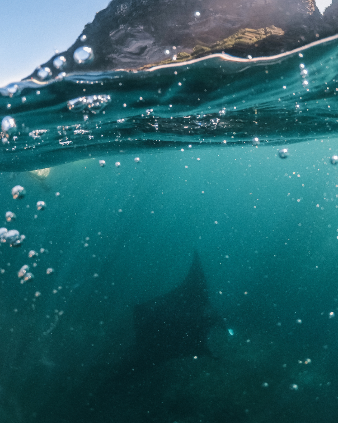 Komodo 6-Island Private Yacht Day Trip with Manta Ray Snorkeling