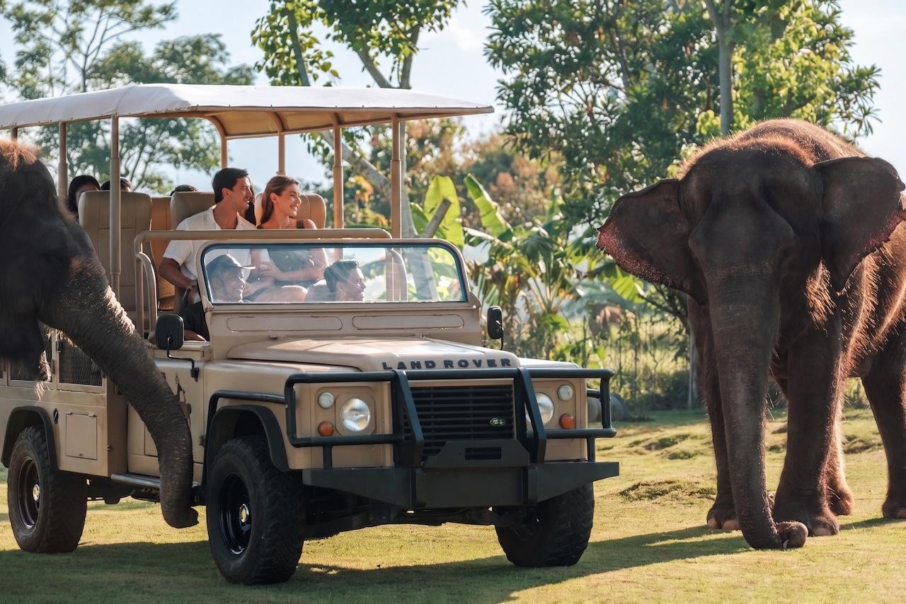 Elephant Explorer Observation at Bali Zoo
