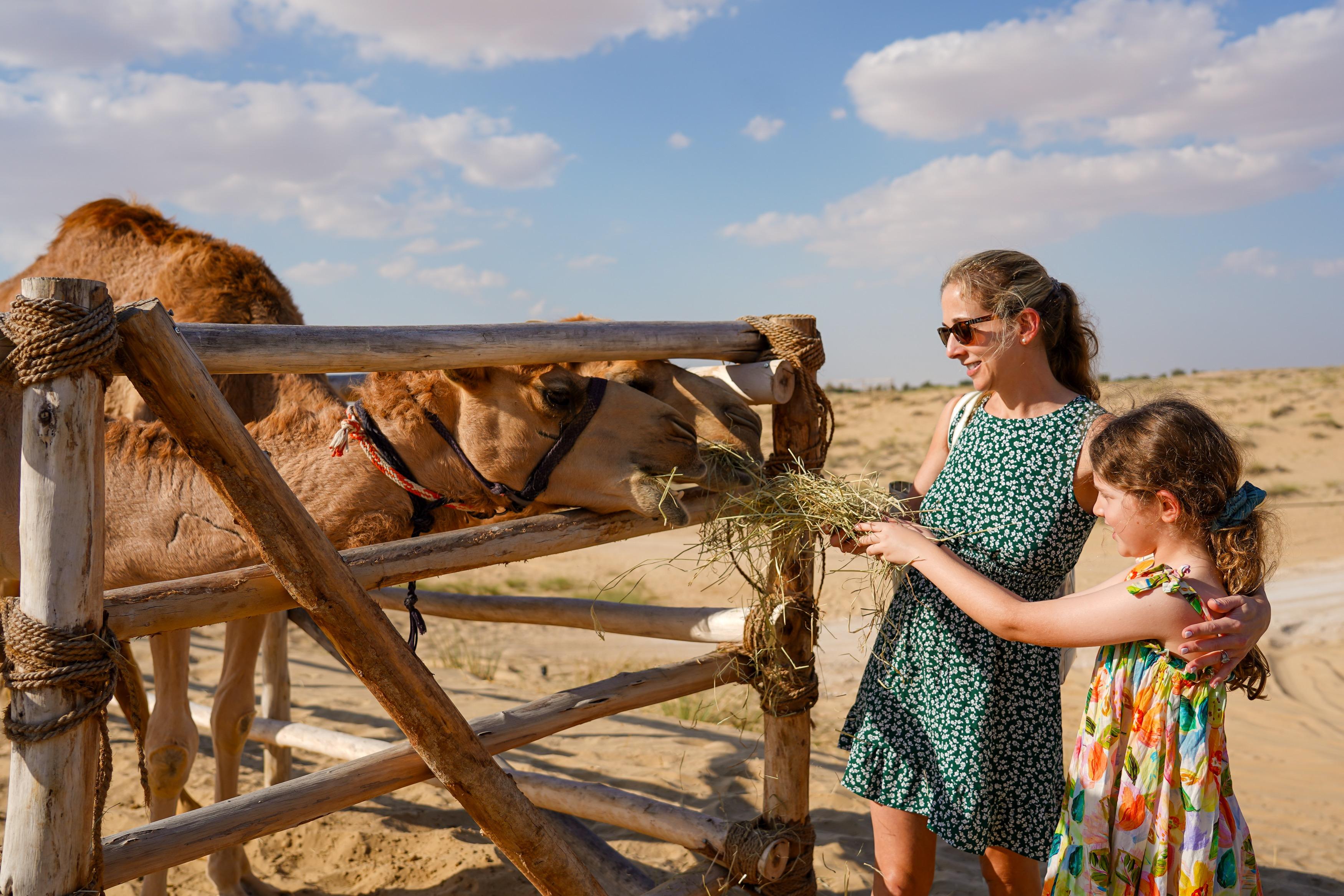Dubai Desert Safari: Red Dunes, Quad Biking & Al Khayma Camp