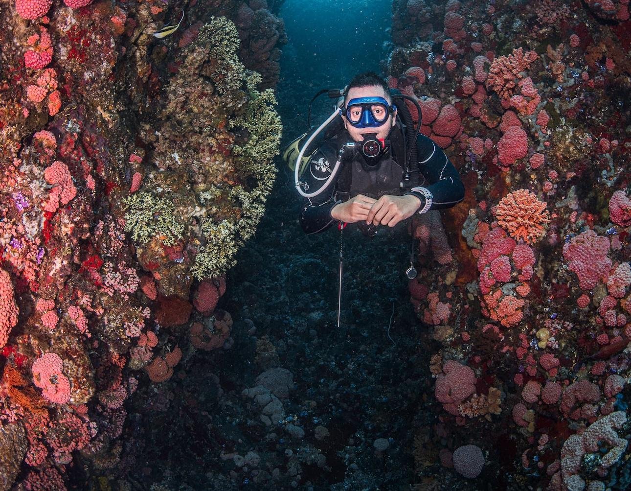 Komodo Full-Day Diving Trip for Certified Divers