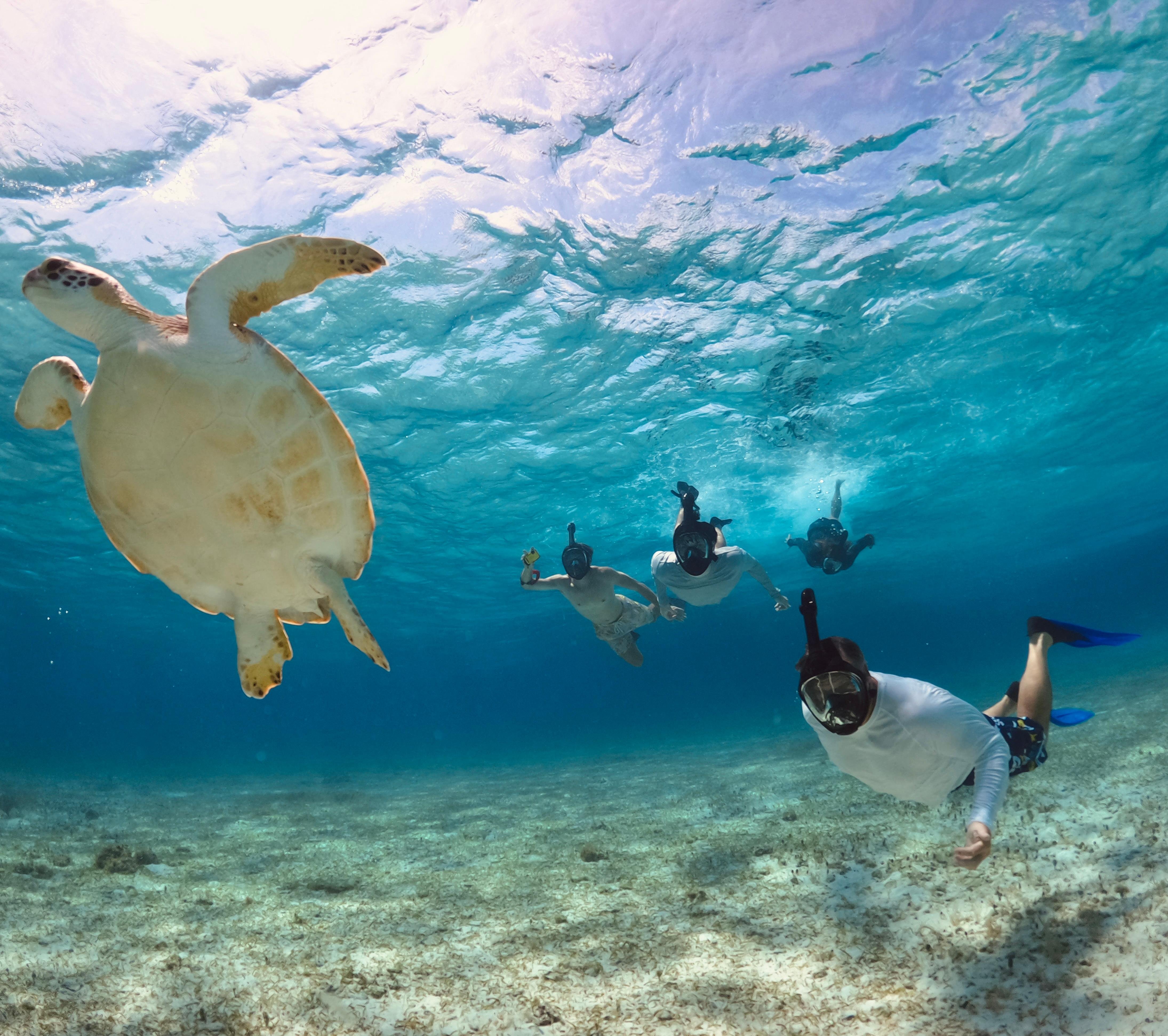 Private El Cielo Snorkeling Adventure