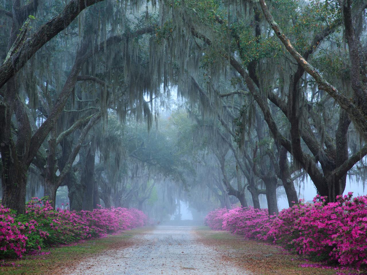Savannah: Bonaventure Cemetery Tour